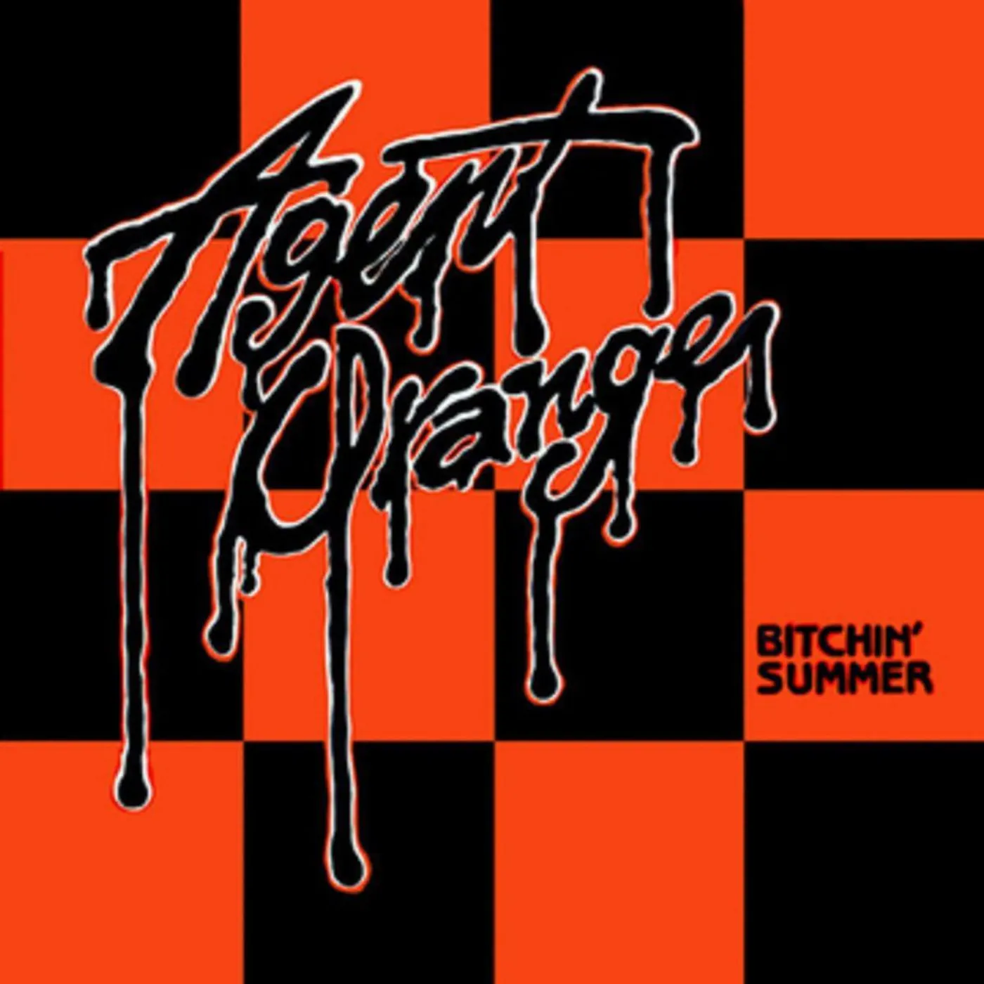 Agent Orange Bitchin Summer (Picture Disc) Vinyl Record