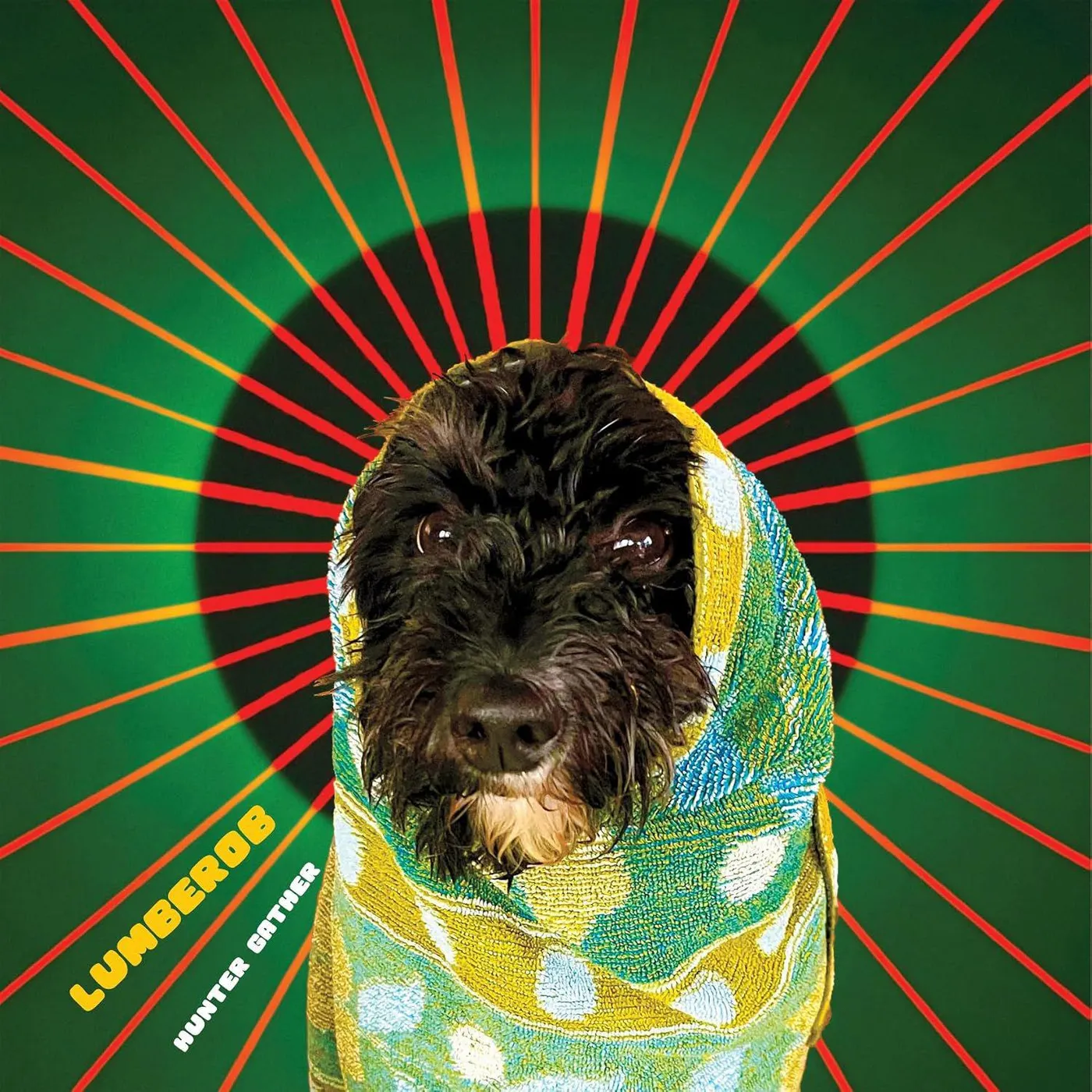 Lumberob Hunter Gather (Clear) Vinyl Record