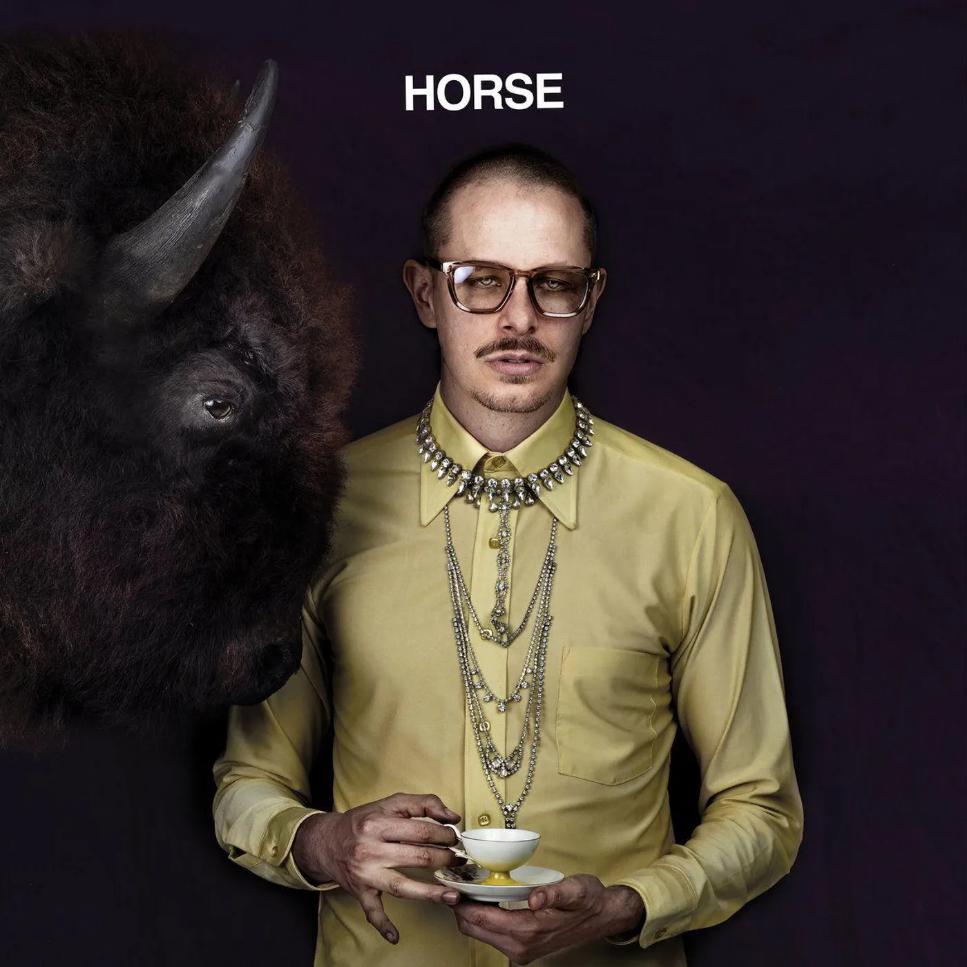 Prof Horse (2LP/Purple) Vinyl Record