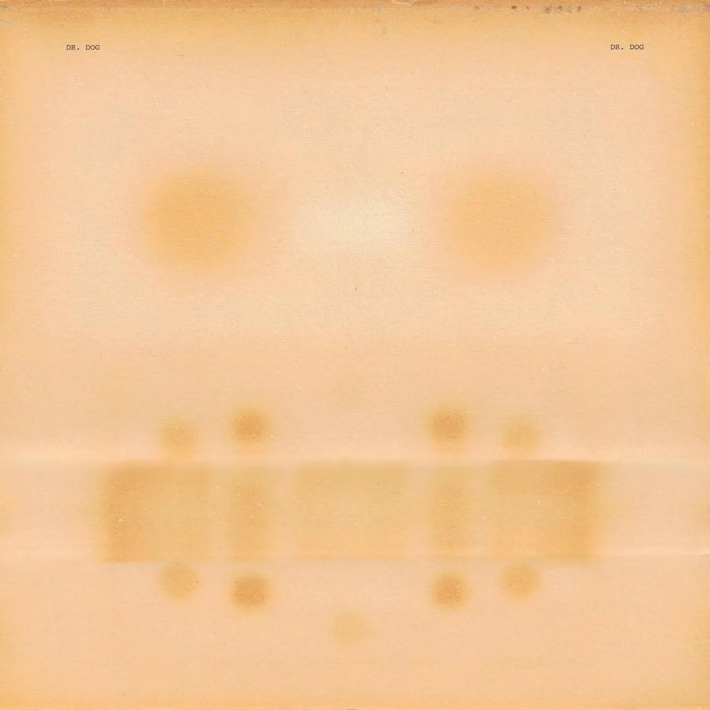  Dr. Dog Vinyl Record