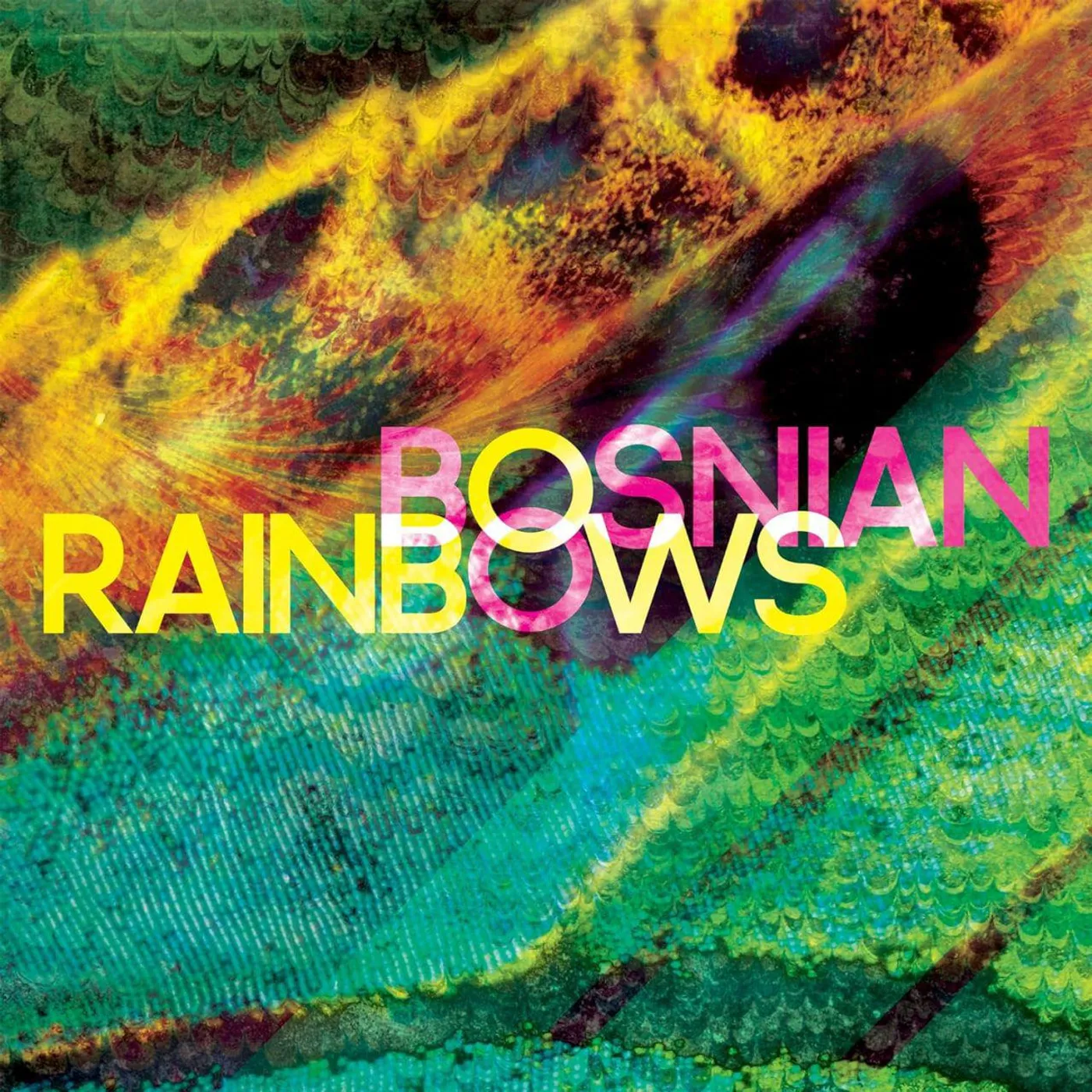 Bosnian Rainbows Vinyl Record