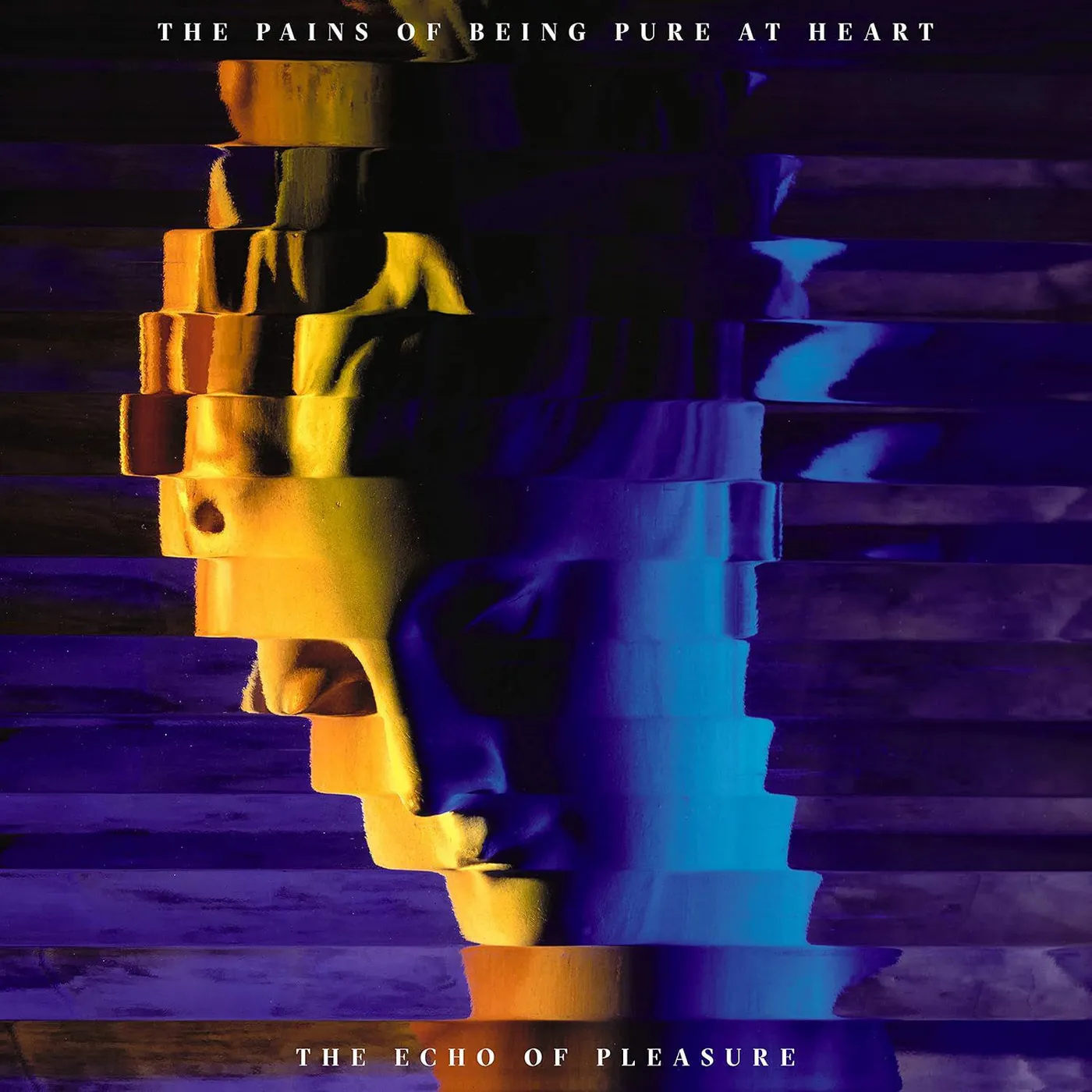 The Pains Of Being Pure At Heart Echo Of Pleasure Vinyl Record