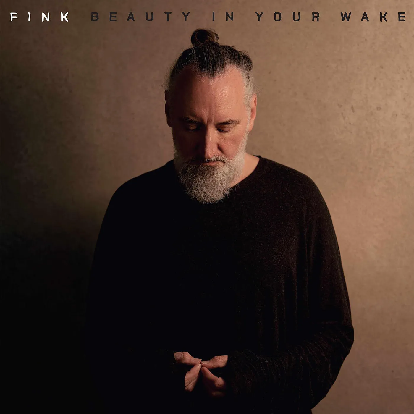 Fink BEAUTY IN YOUR WAKE Vinyl Record