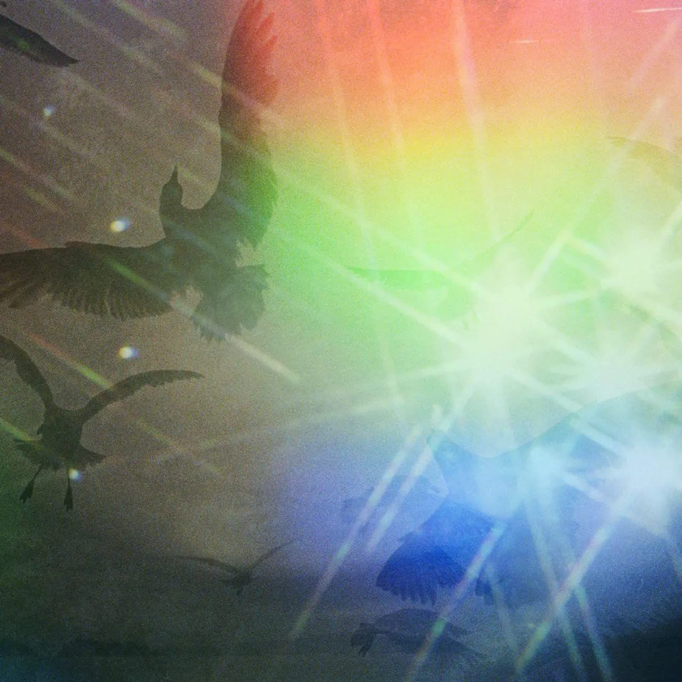 Cornelius HIBANA Vinyl Record