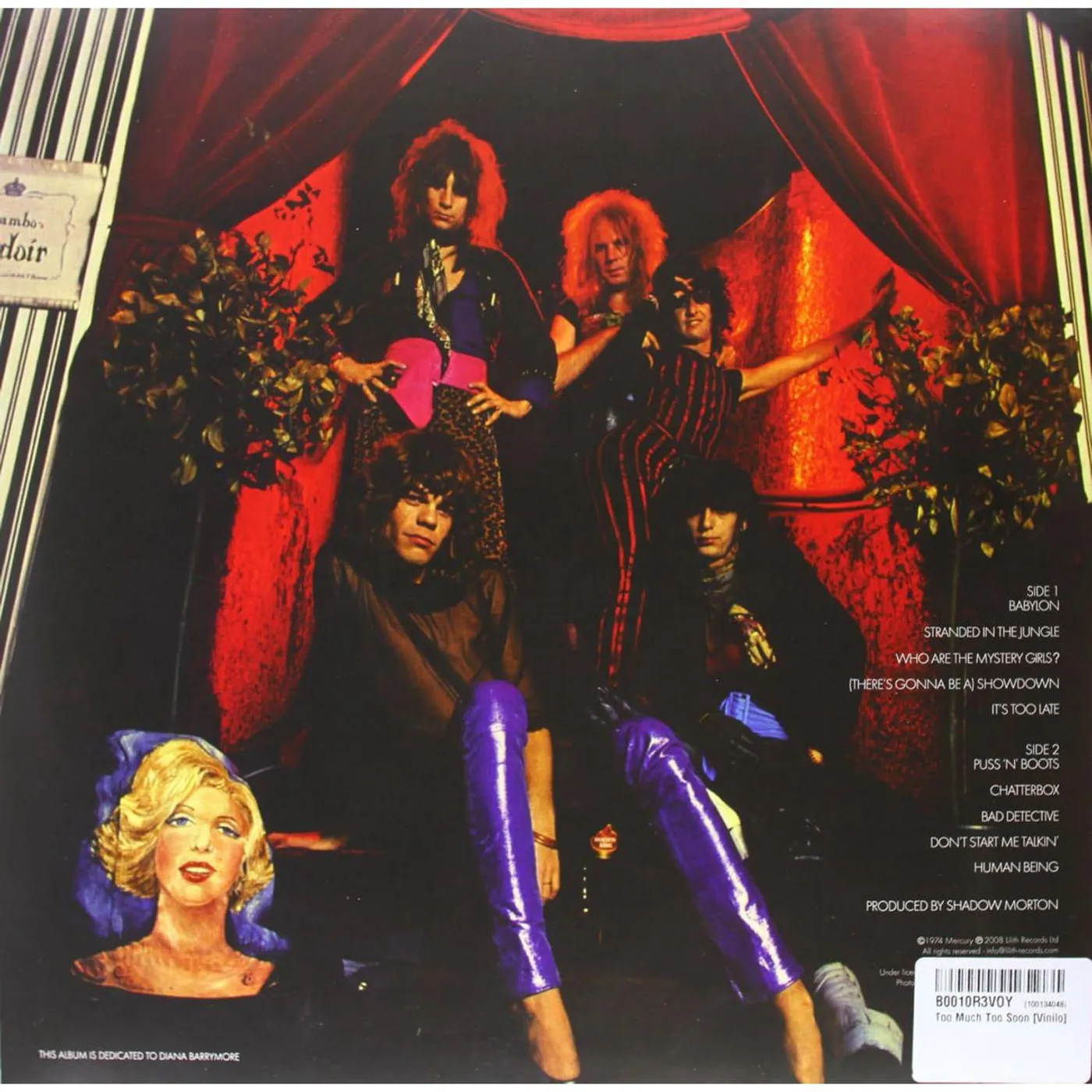 New York Dolls TOO MUCH TOO SOON Vinyl Record