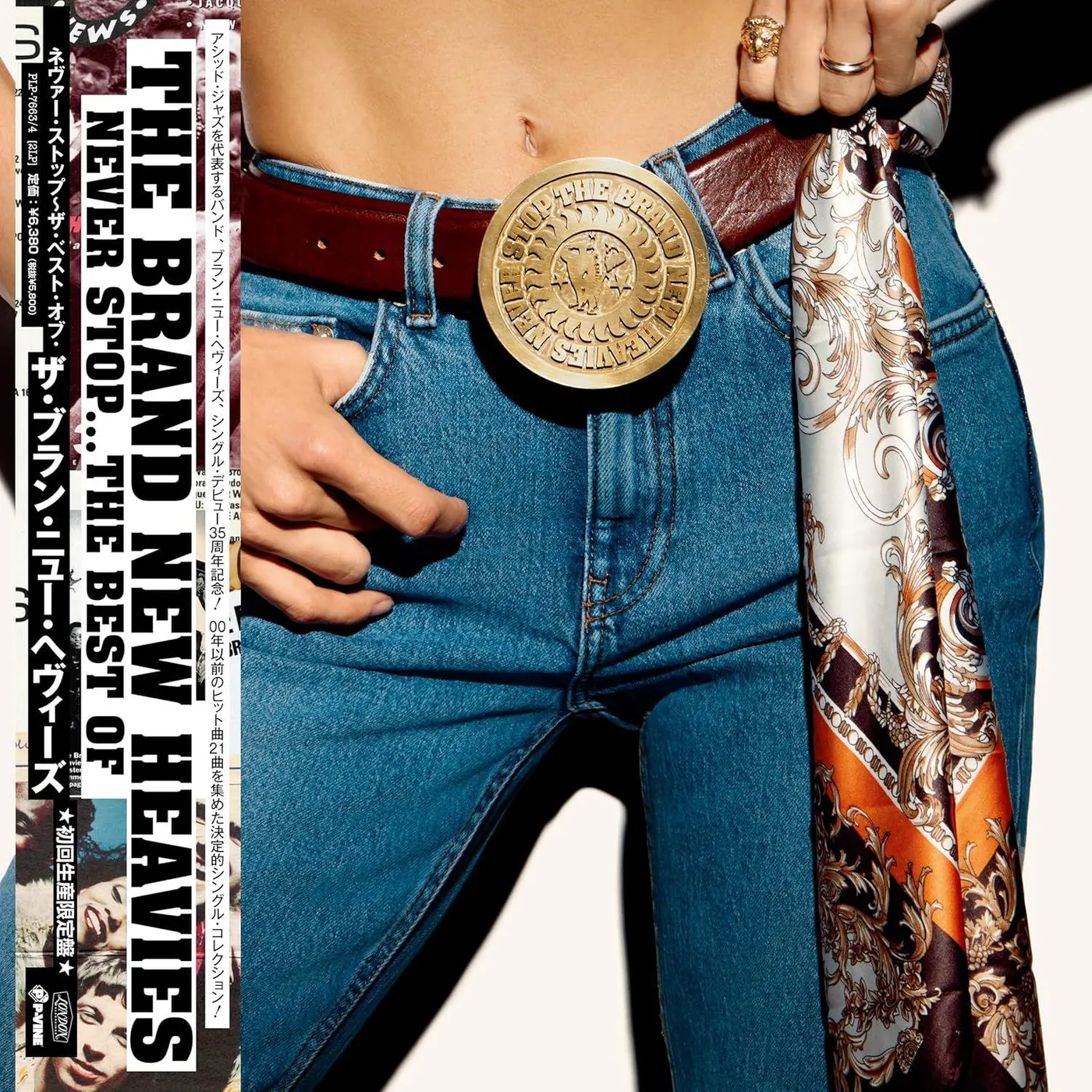 The Brand New Heavies Never Stop (2lp) Vinyl Record