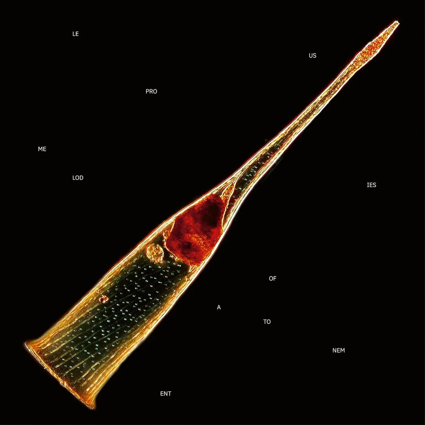 Leprous Melodies Of Atonement (2lp/Translucent Forest Green) Vinyl Record