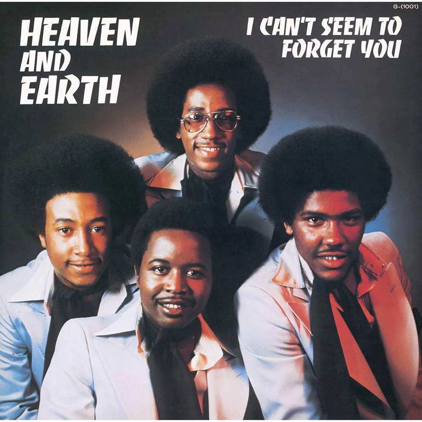 Heaven & Earth I Can't Seem To Forget You Vinyl Record