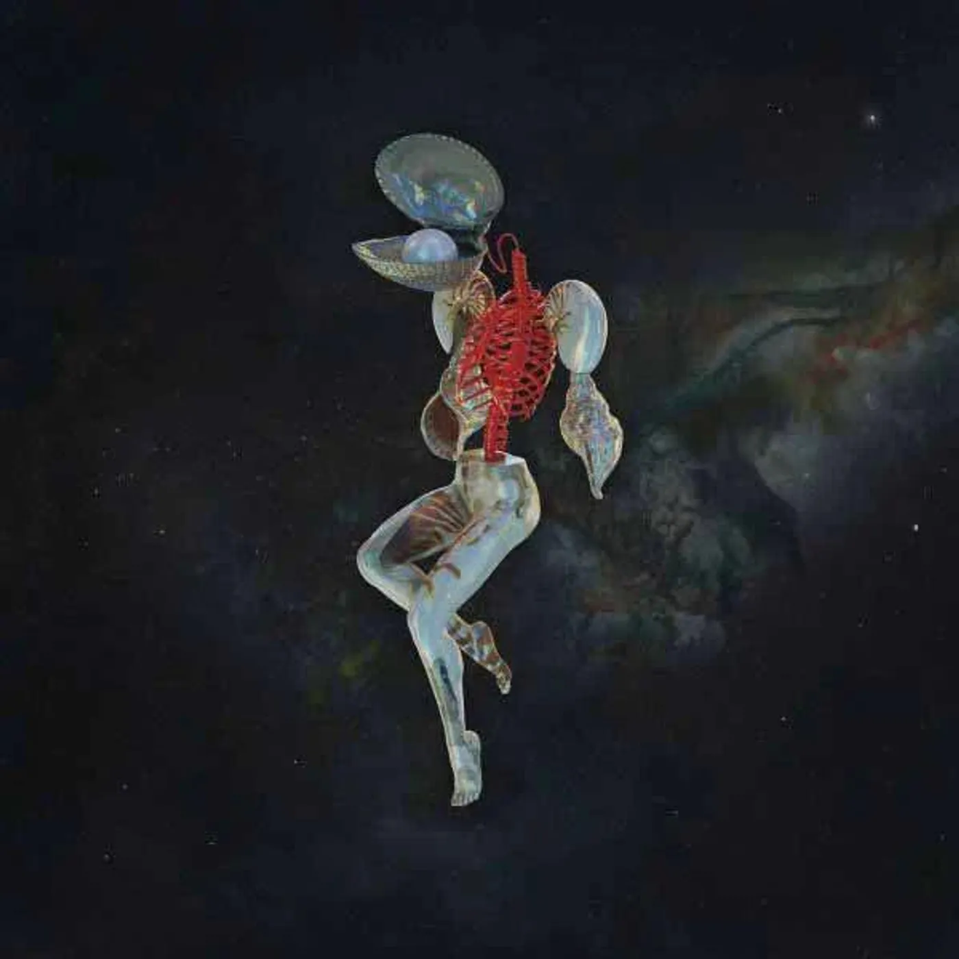 Hail Spirit Noir Fossil Garden (Orange/Red) Vinyl Record