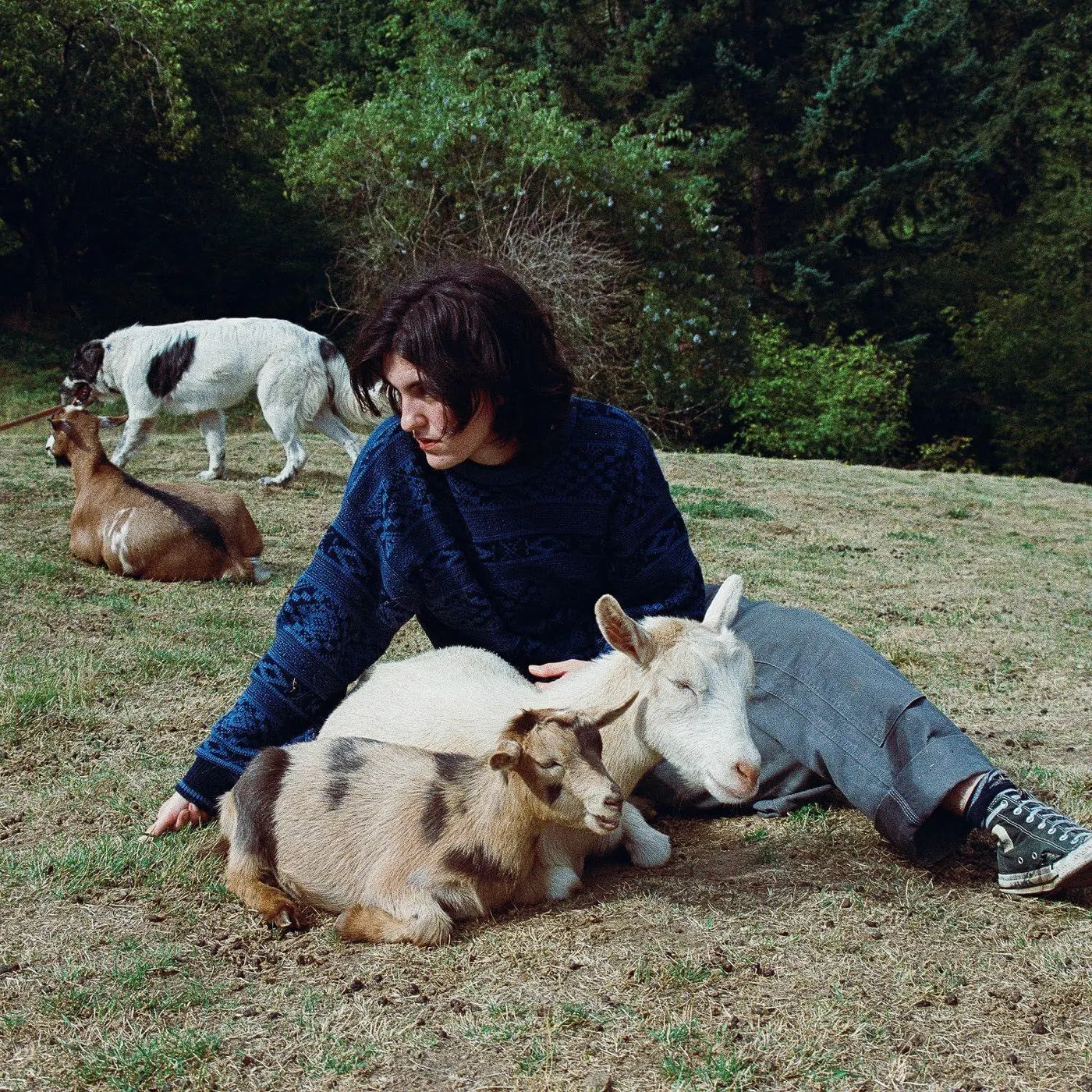 Searows End Of The World (Transparent Forest Green) Vinyl Record