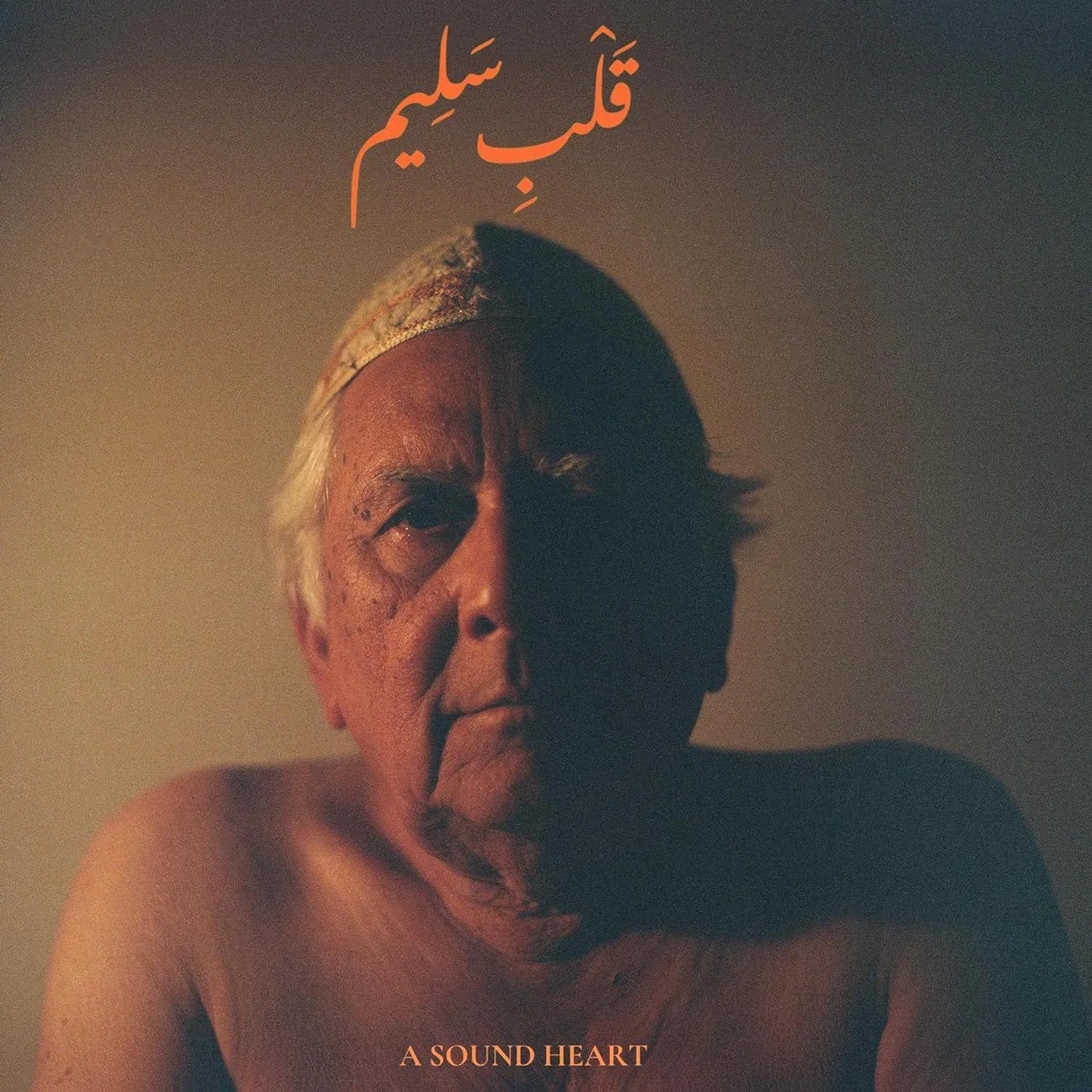 Jaubi A Sound Heart Vinyl Record