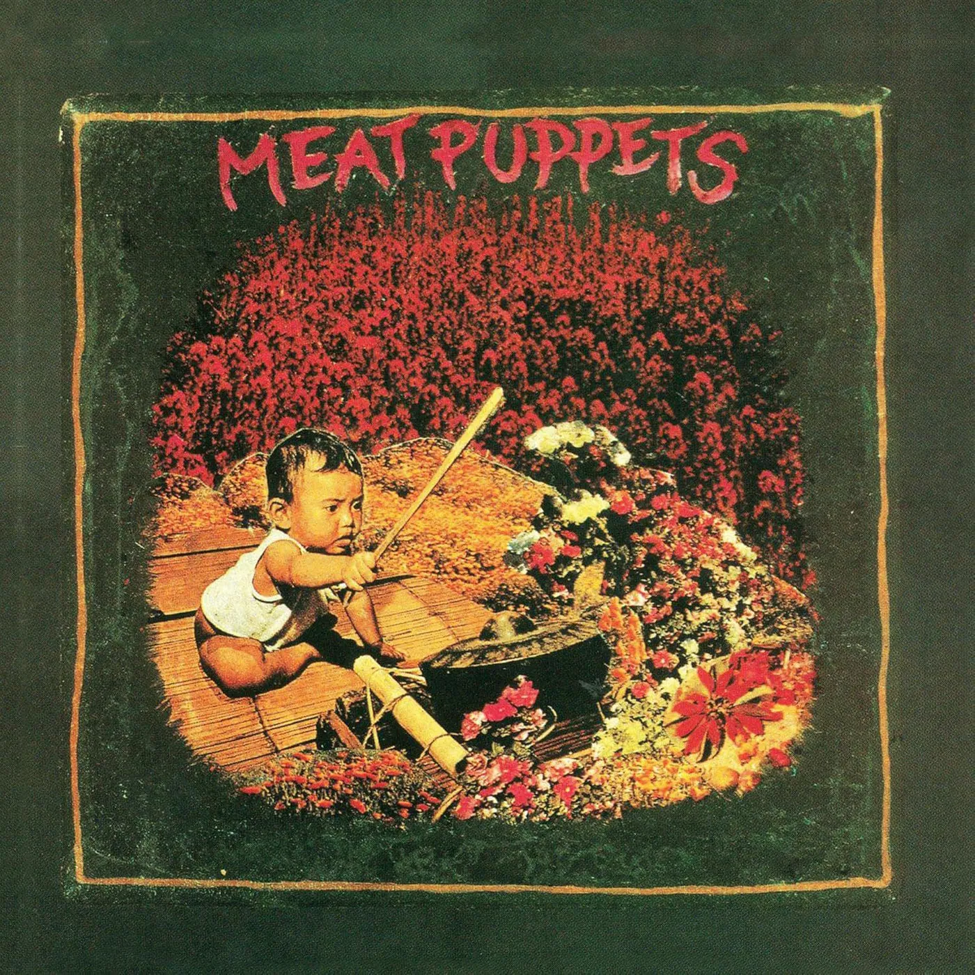 Meat Puppets I Vinyl Record