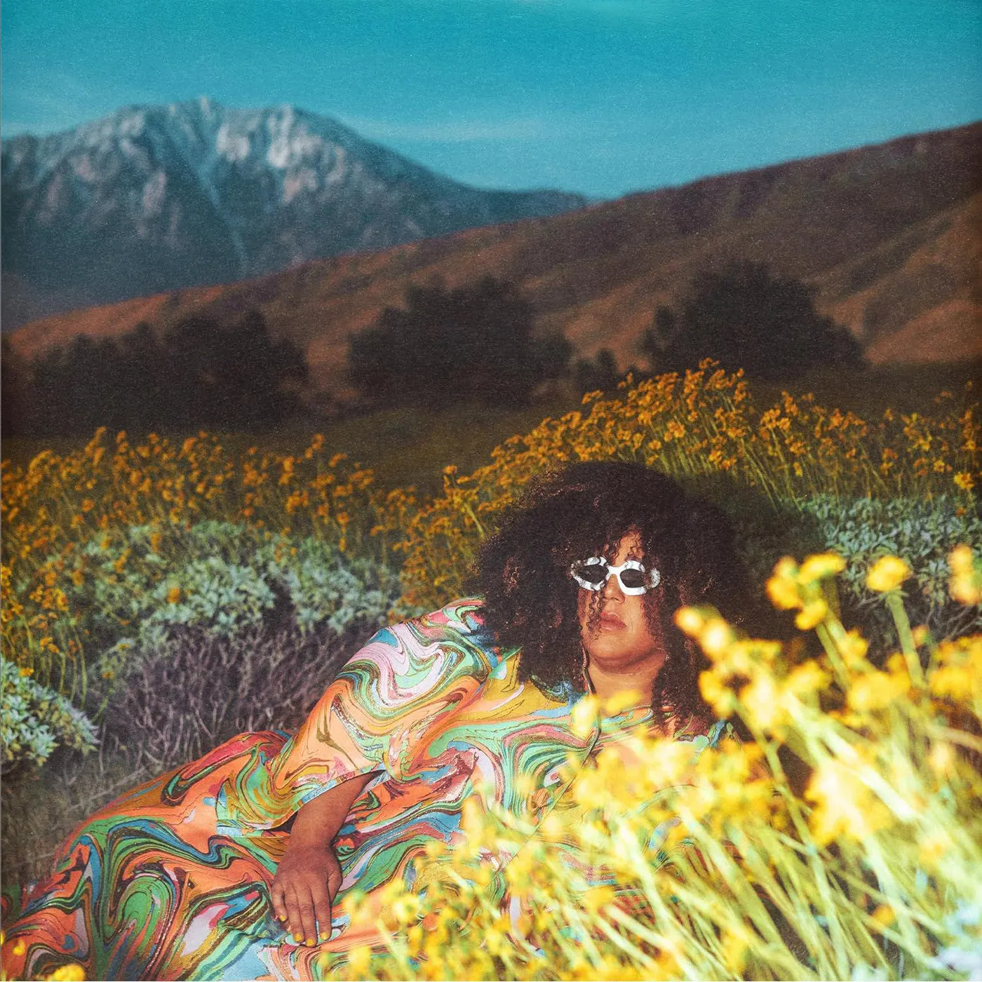 Brittany Howard WHAT NOW Vinyl Record