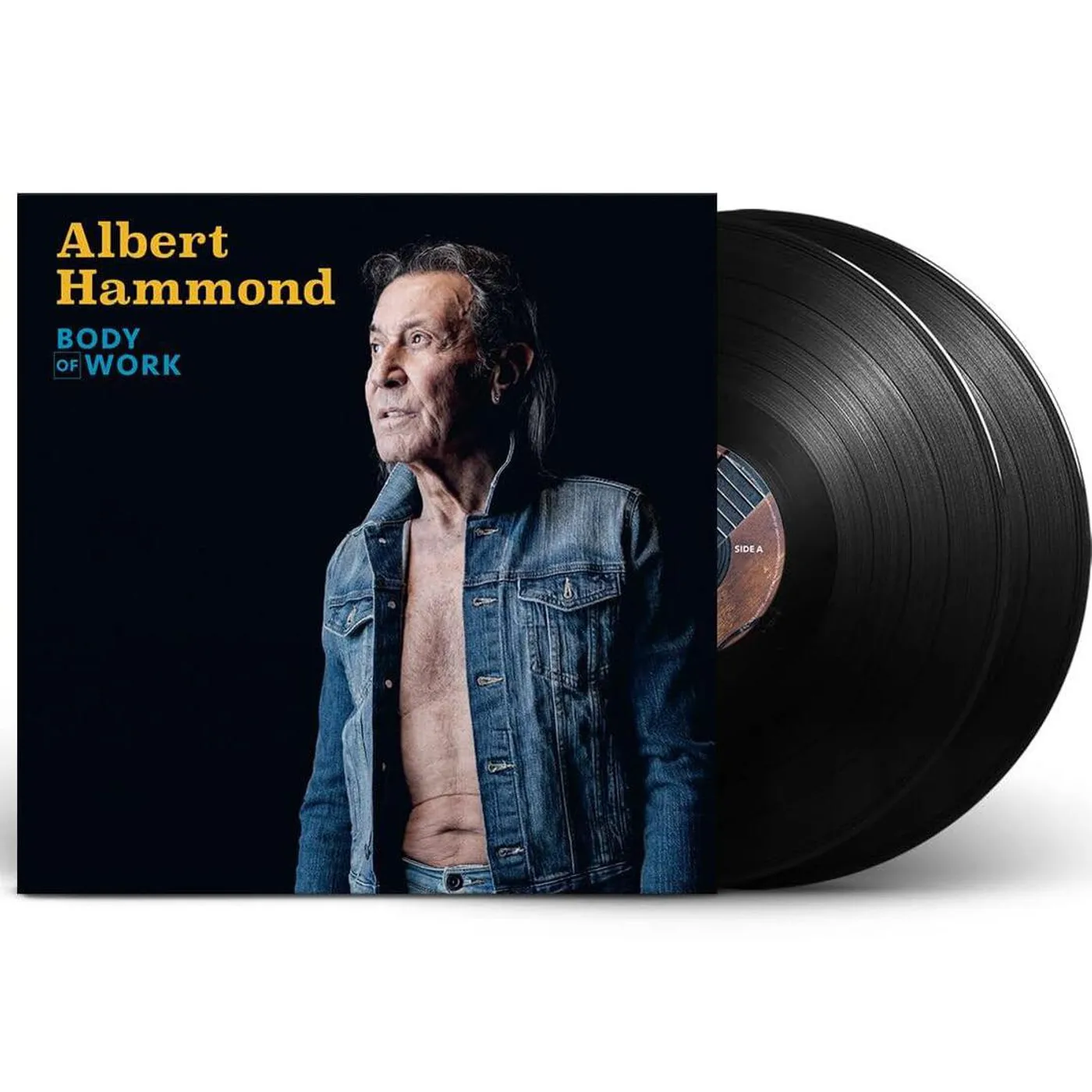 Albert Hammond Body Of Work (2LP) Vinyl Record