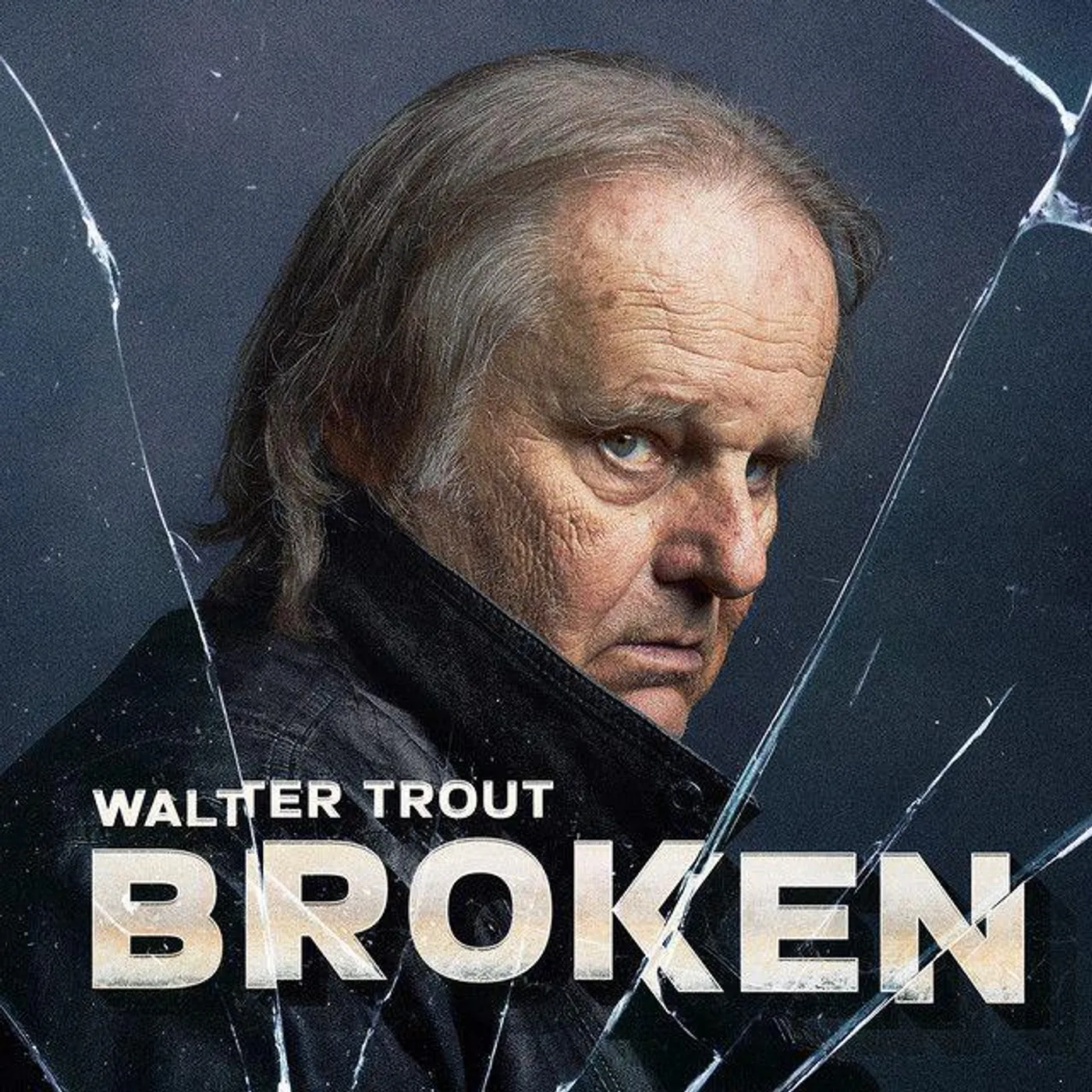 Walter Trout Broken (2LP/Clear/180 Gram) Vinyl Record