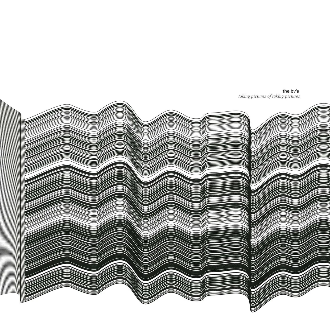 The BV's TAKING PICTURES OF TAKING PICTURES Vinyl Record