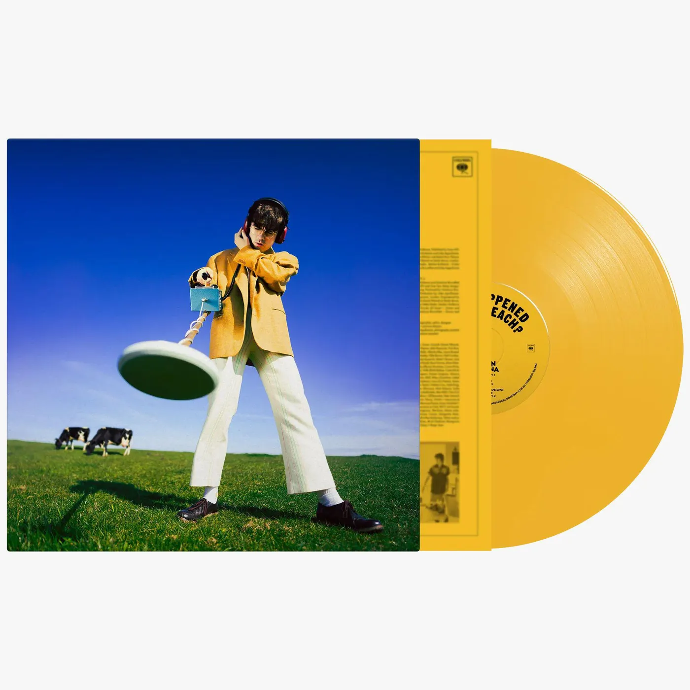 Declan McKenna WHAT HAPPENED TO THE BEACH? (YELLOW VINYL) Vinyl Record