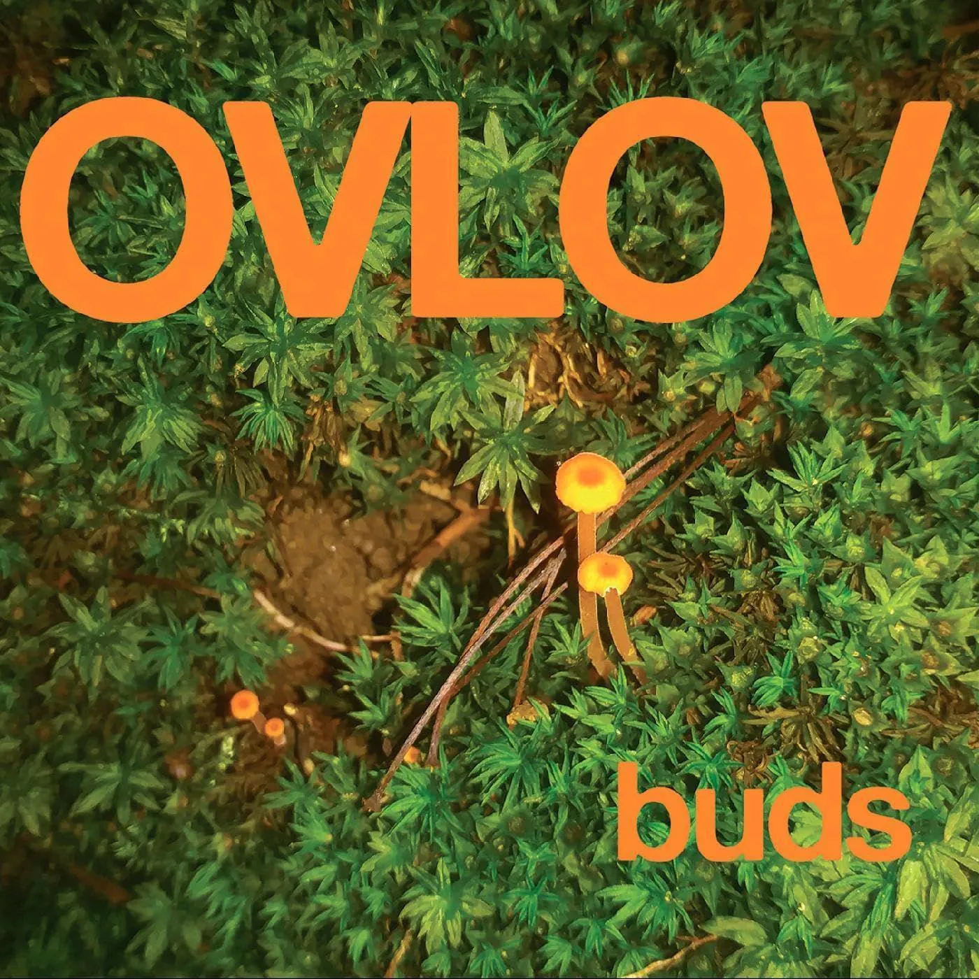 Ovlov Buds (Green) Vinyl Record