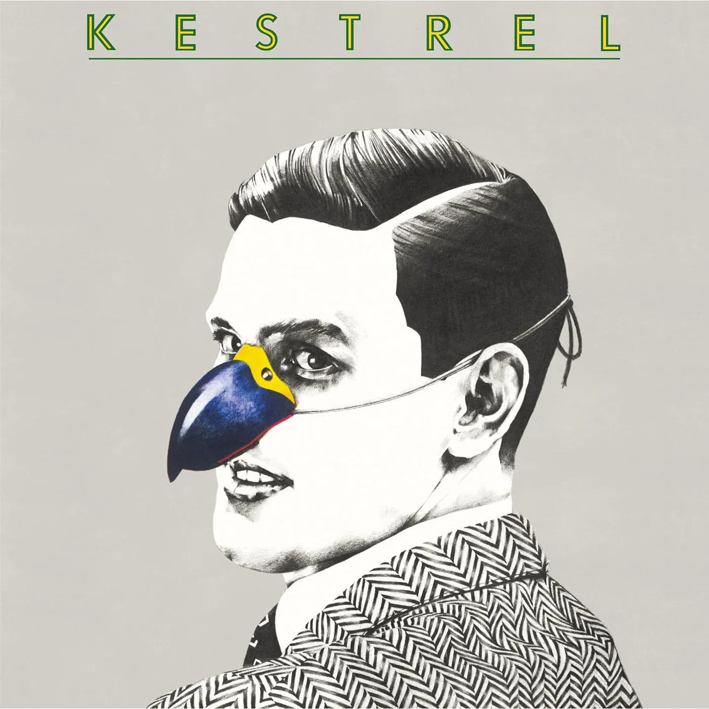  Kestrel (180 Gram Vinyl, Reissue) Vinyl Record