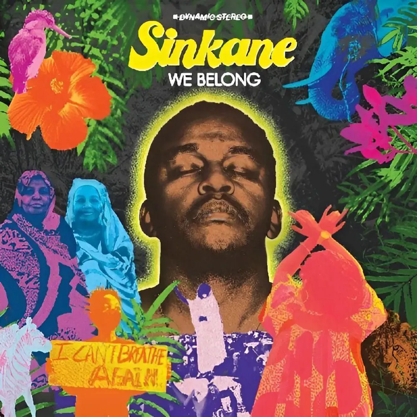 Sinkane We Belong (Purple) Vinyl Record