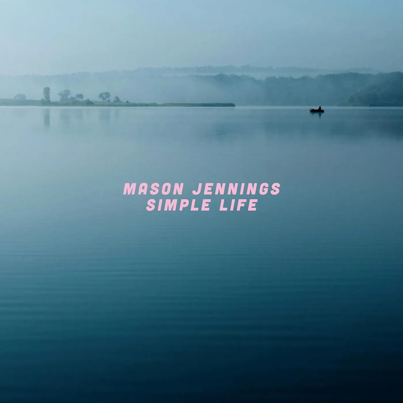 Mason Jennings Simple Life Vinyl Record