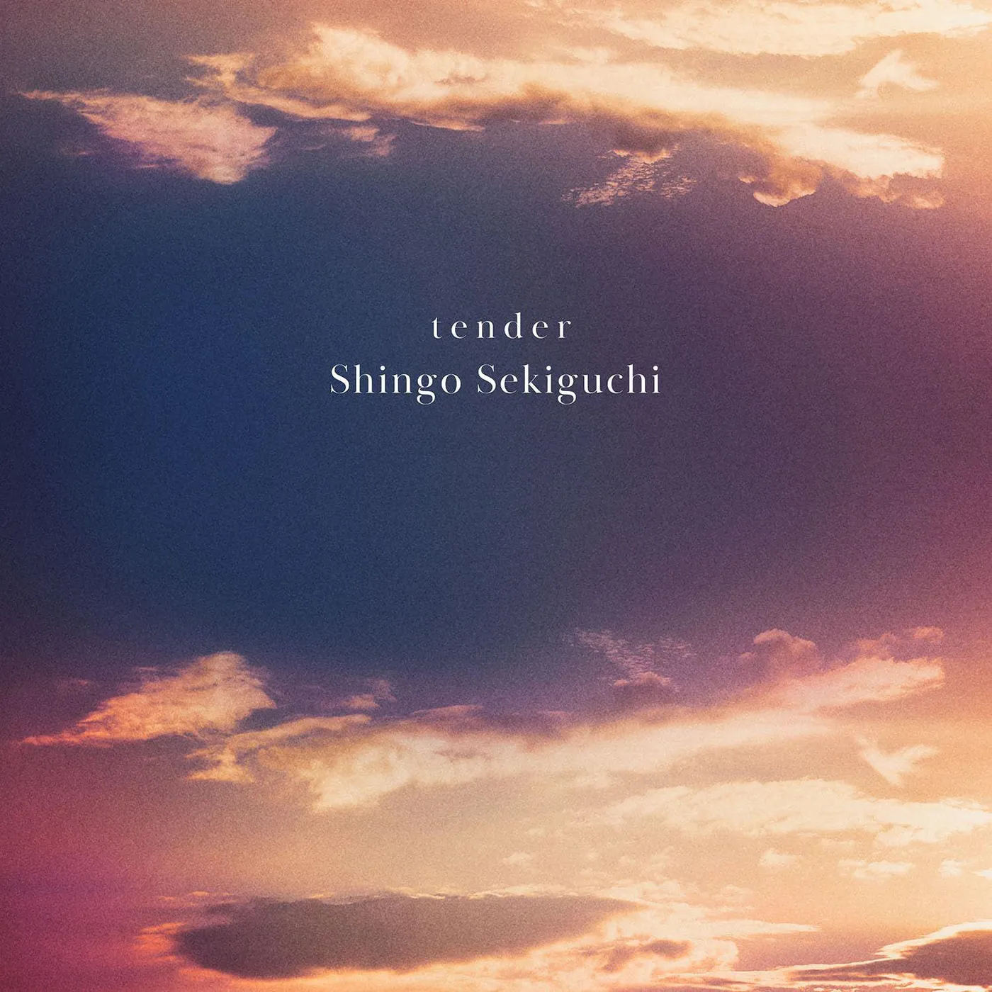 Shingo Sekiguchi Tender Vinyl Record