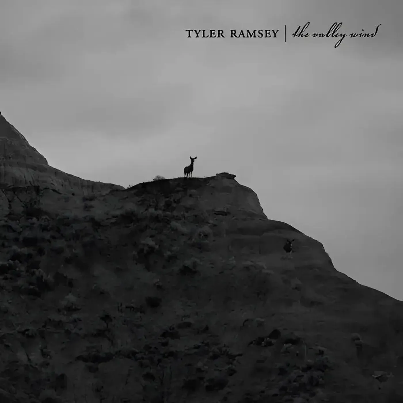  Tyler Ramsey S/T Vinyl Record 