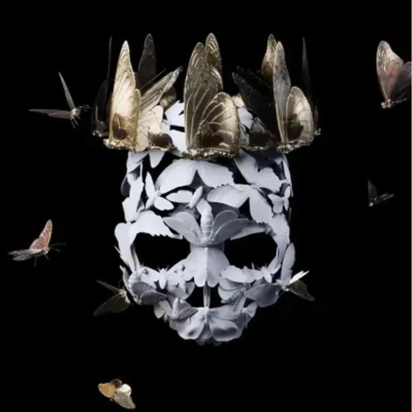 Princess Goes Come Of Age (2LP/Clear) Vinyl Record