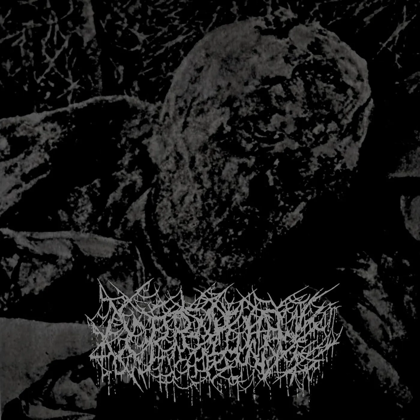 Coprolith Vinyl Record