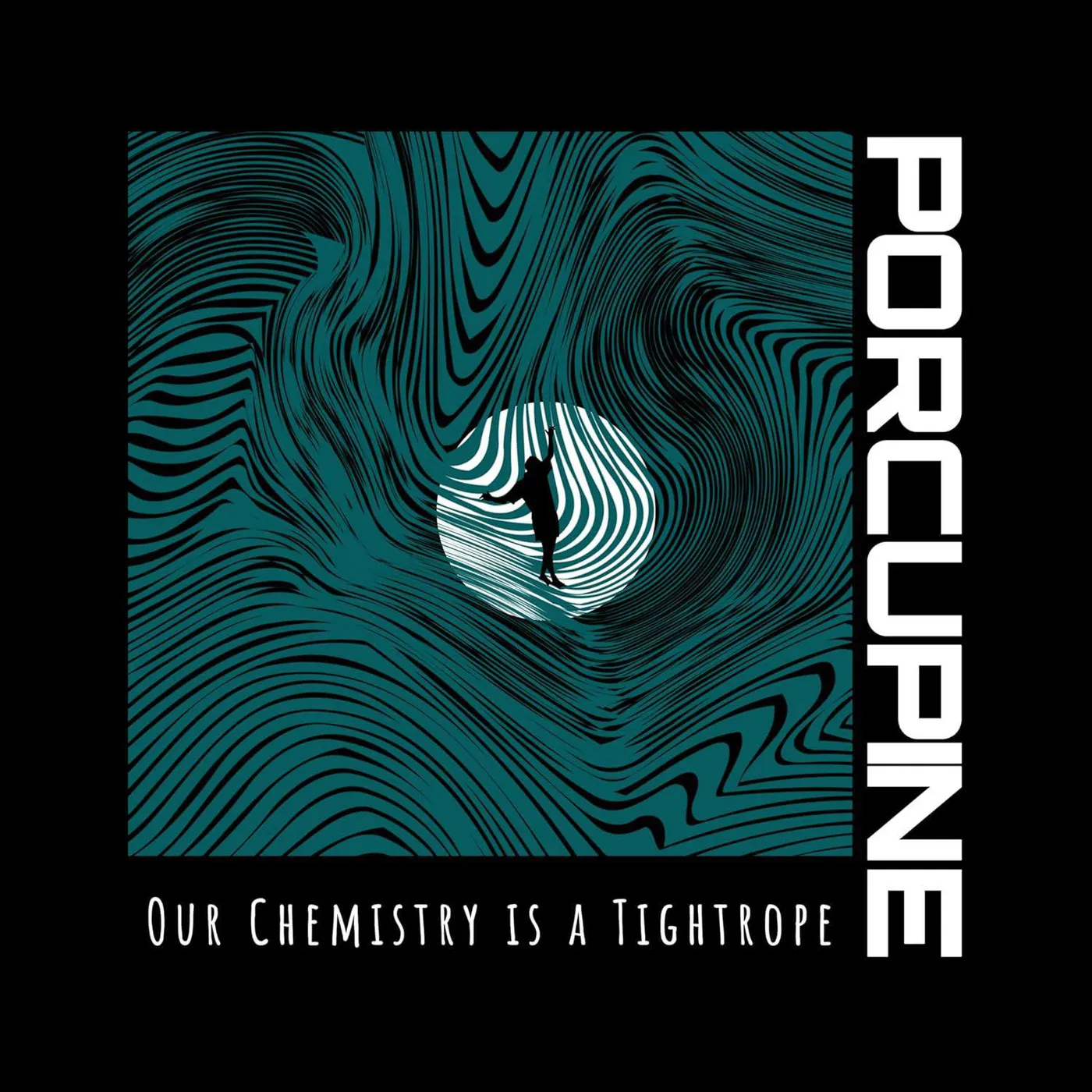 Porcupine Our Chemistry Is A Tightrope Vinyl Record
