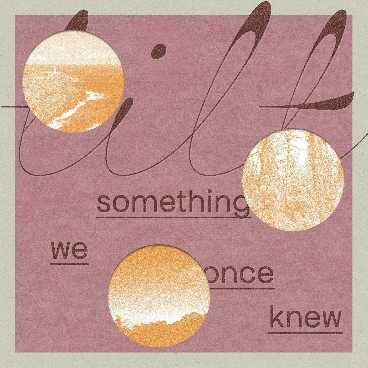 Tilt Something We Once Knew Vinyl Record