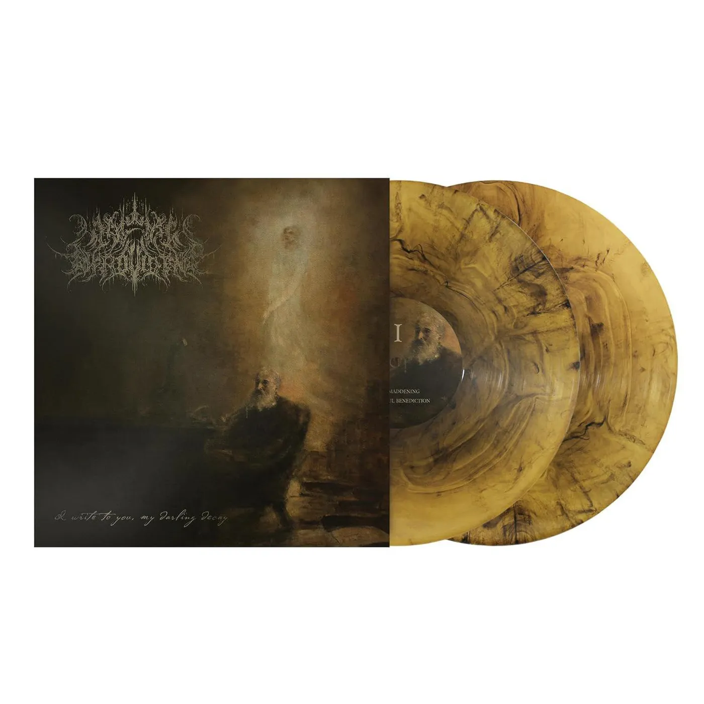 A Wake in Providence I Write To You, My Darling Decay (2LP) Vinyl Record