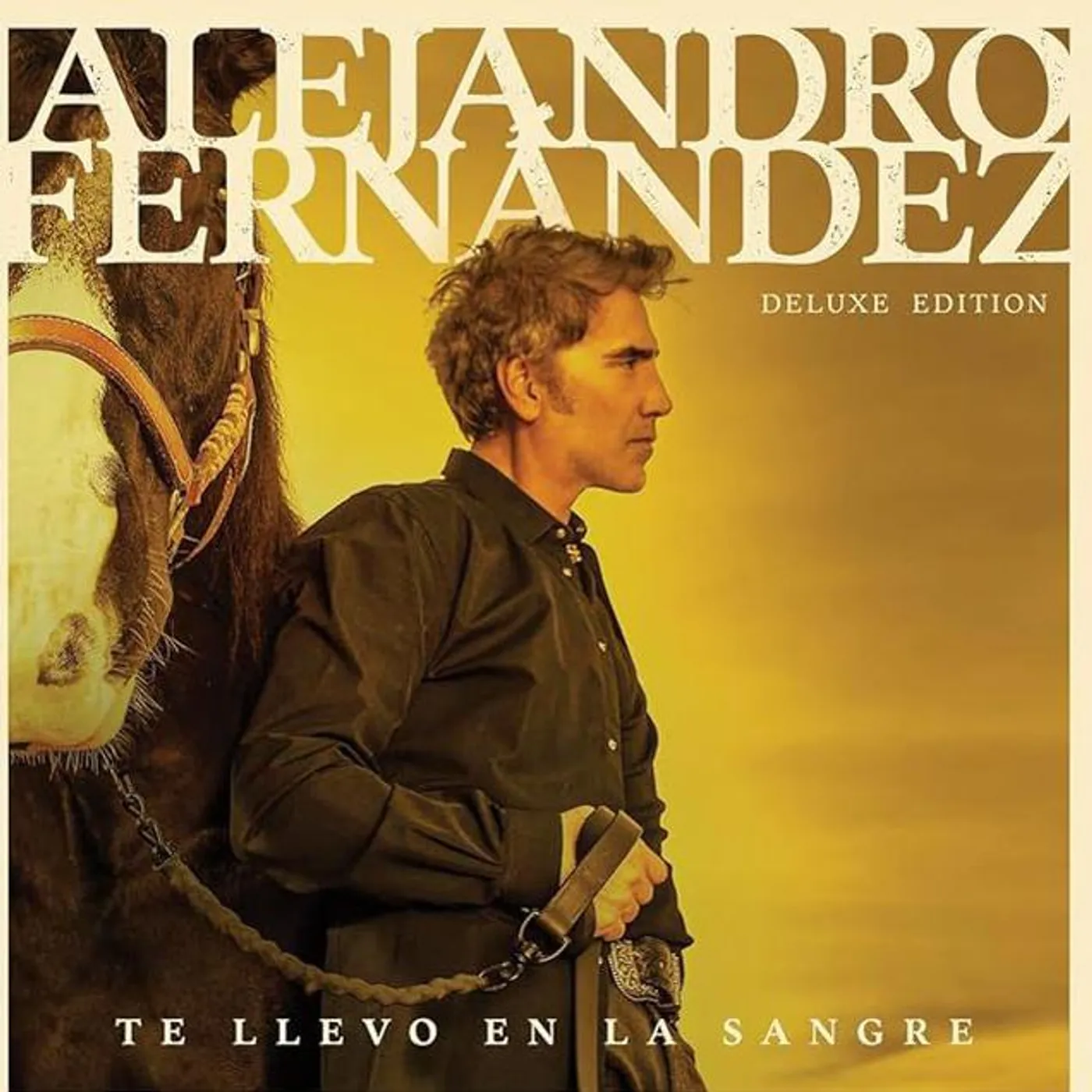 Alejandro Fernandez Te Llevo En La Sangre (Deluxe Edition) (2LP) Vinyl Record