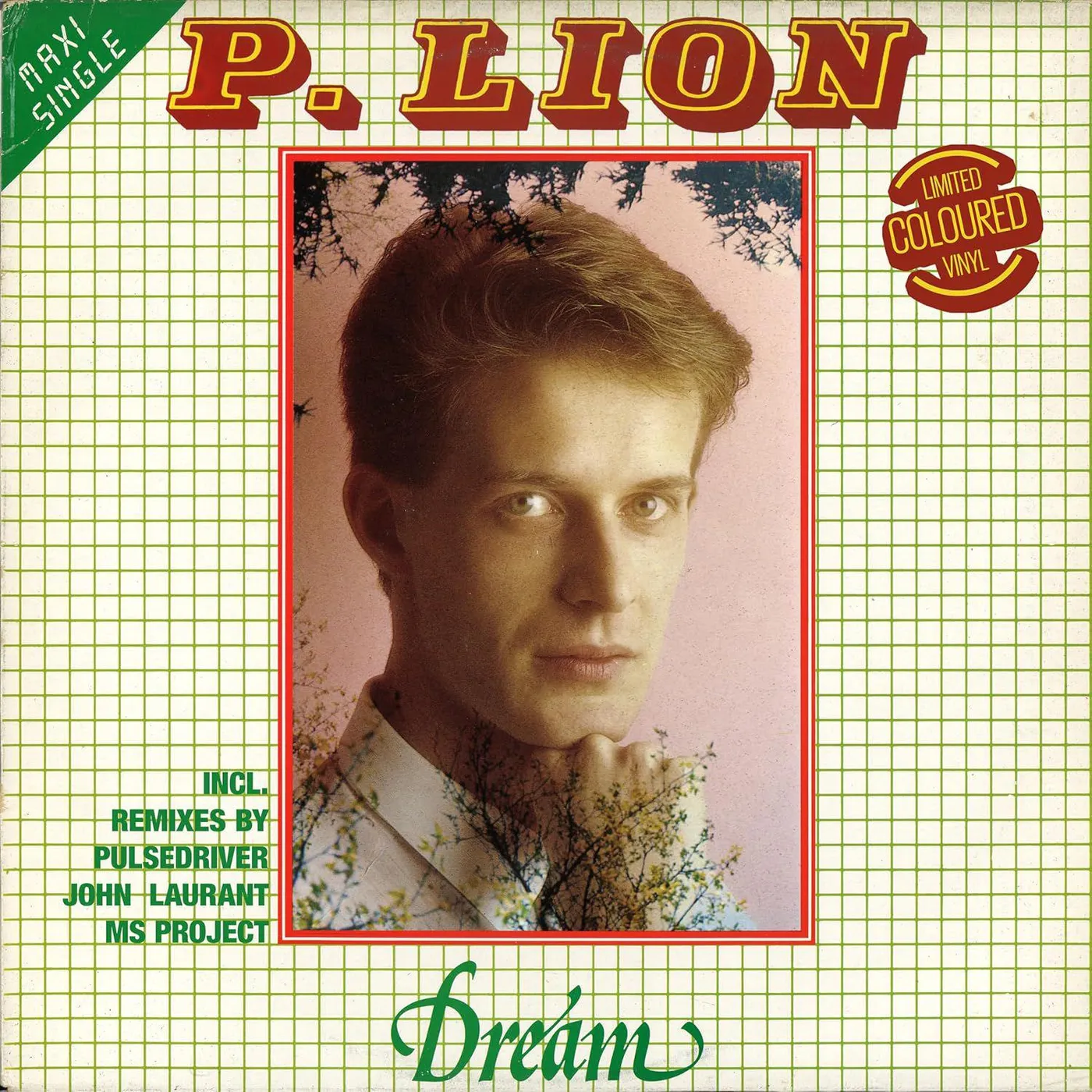 P. Lion Dream Vinyl Record