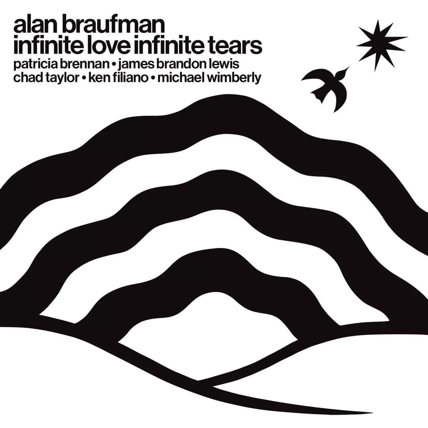 Alan Braufman Infinite Love Infinite Tears Vinyl Record