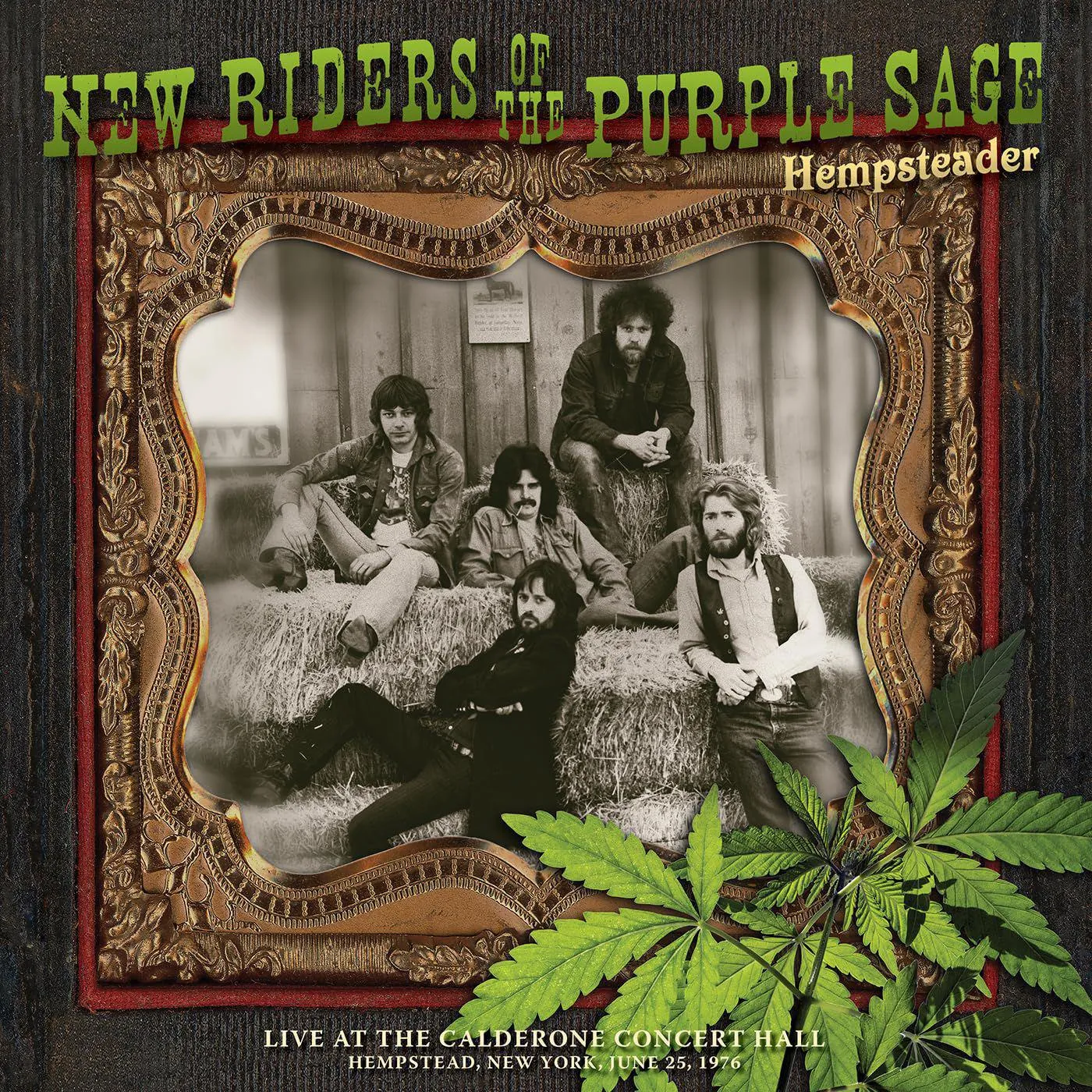 New Riders of the Purple Sage Hempsteader: Live At The Calderone Concert Hall, Hempstead, New York, 6/25/1976 (2lp/Green) Vinyl Record