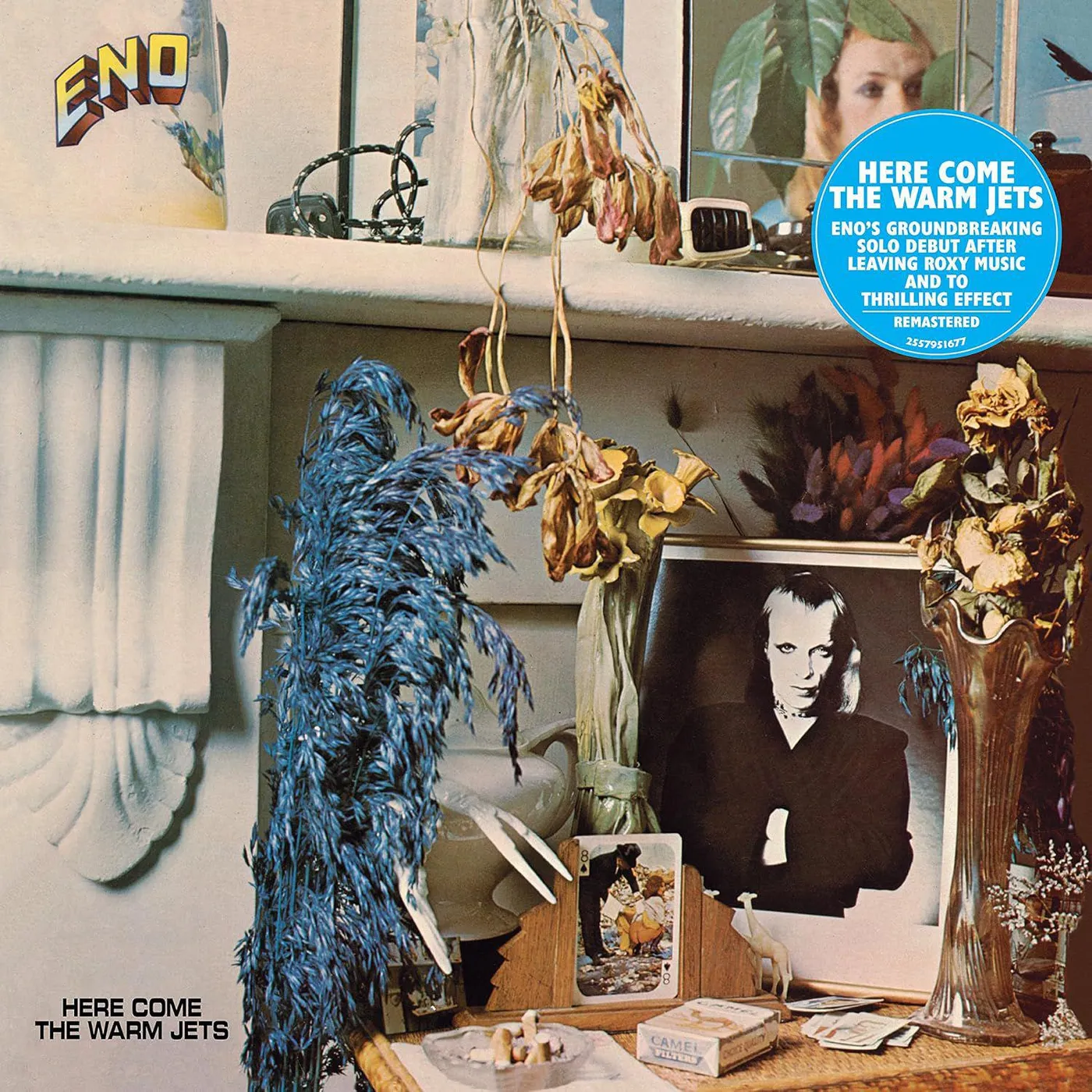 Brian Eno Here Come The Warm Jets Vinyl Record