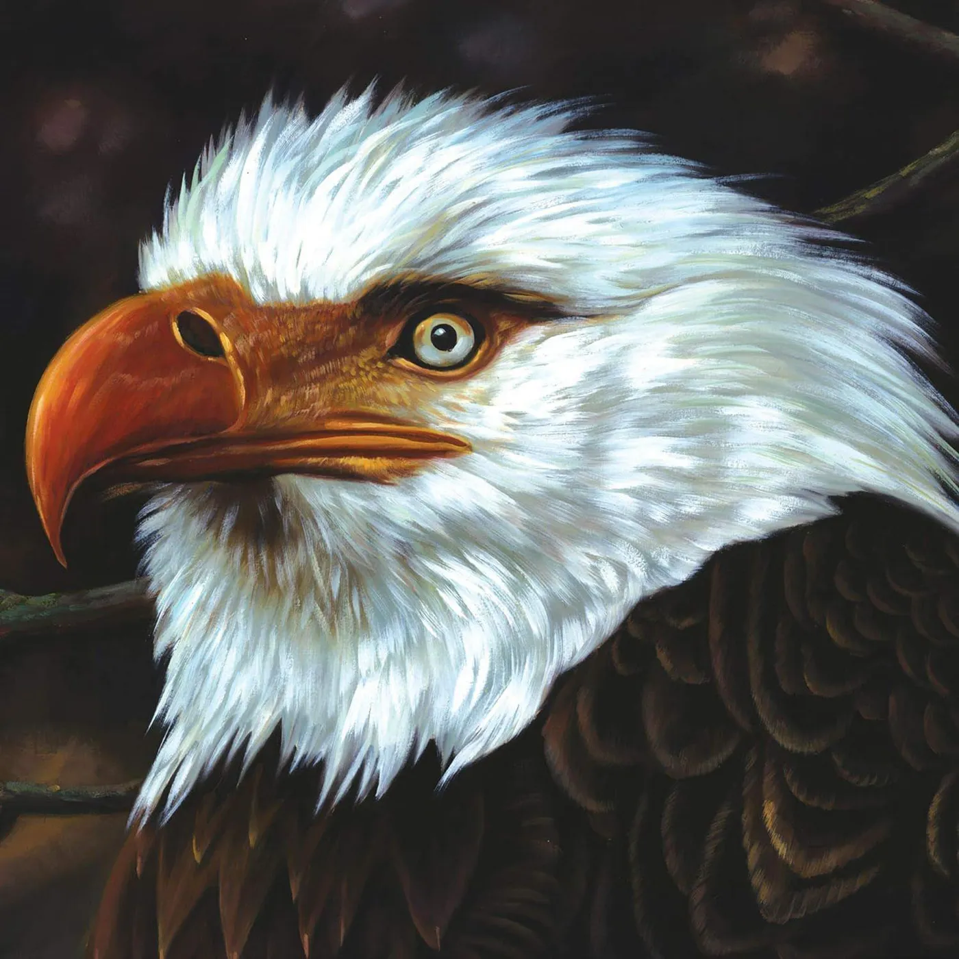 Mogwai Hawk Is Howling Vinyl Record