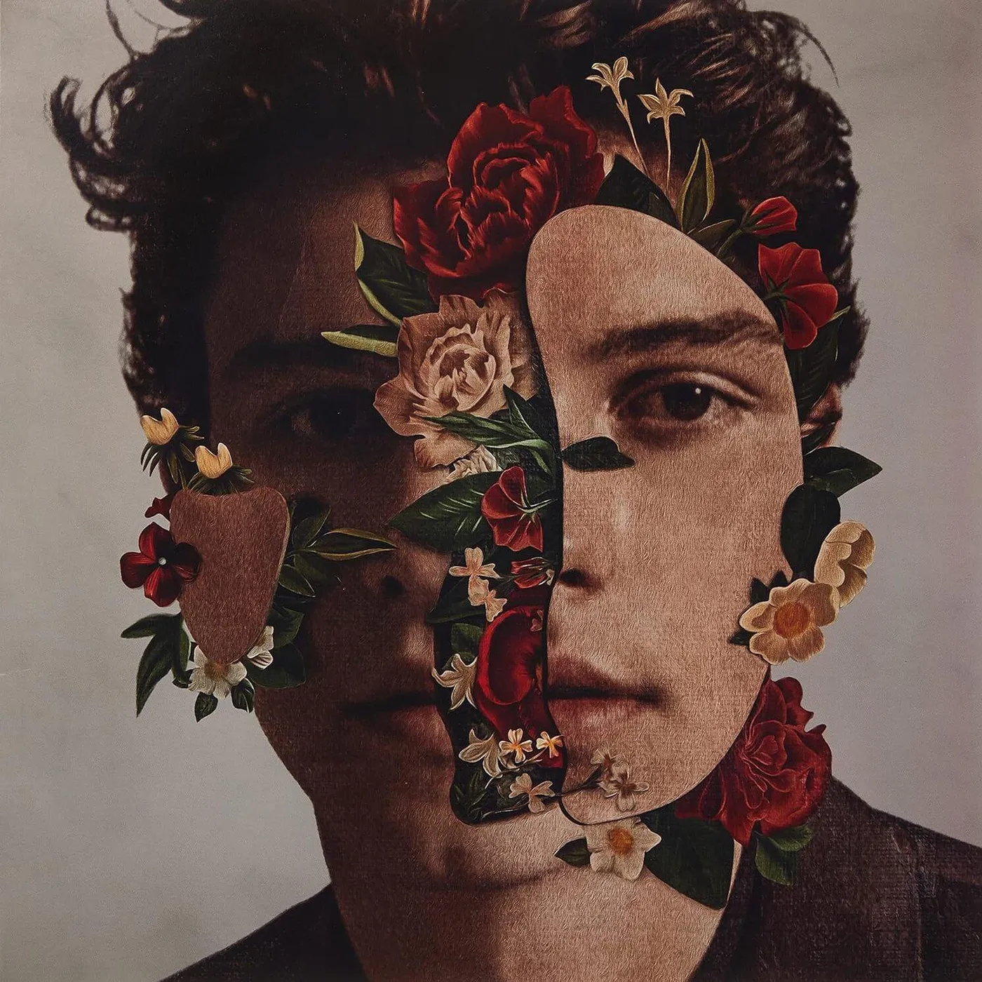 Shawn Mendes S/T Vinyl Record