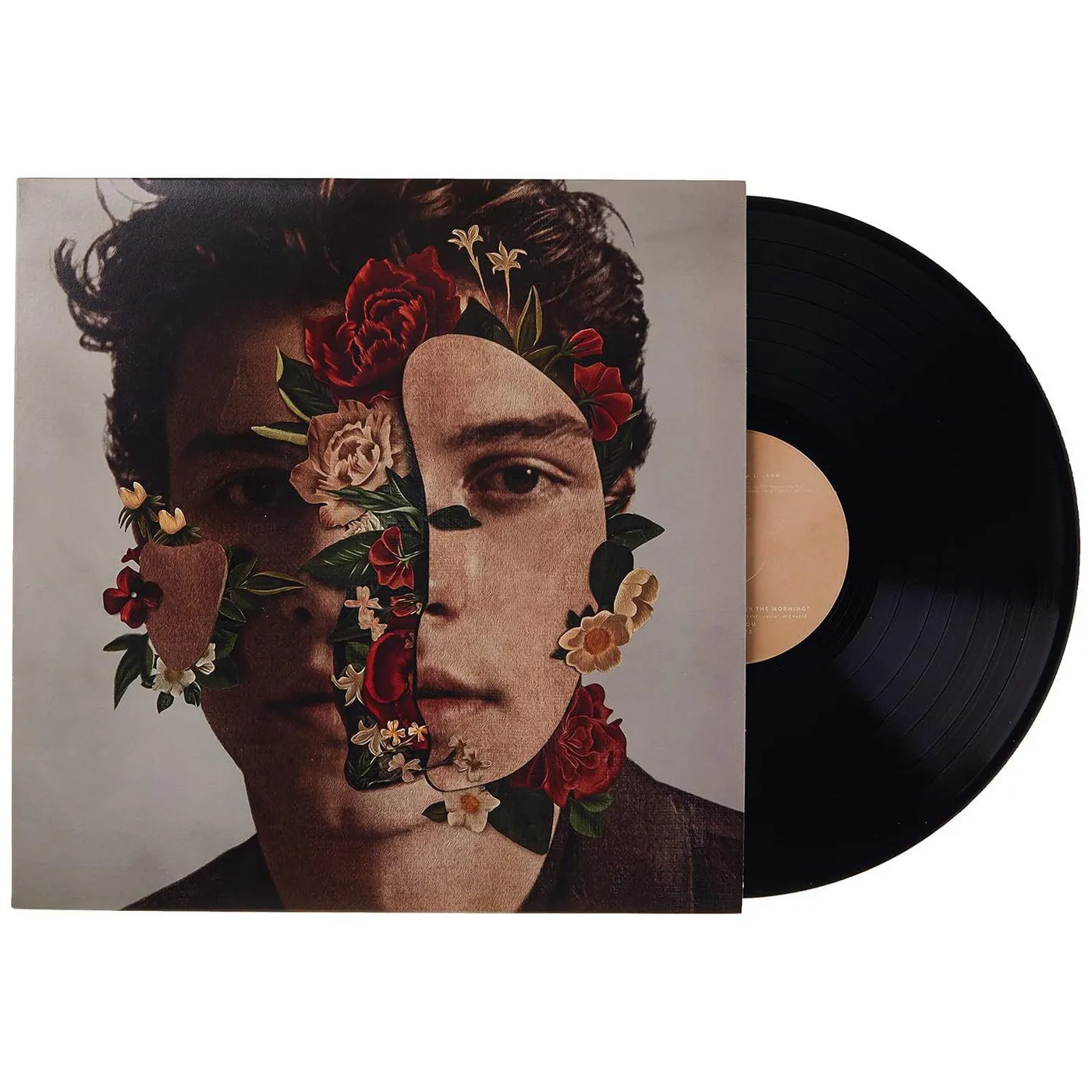  Shawn Mendes S/T Vinyl Record