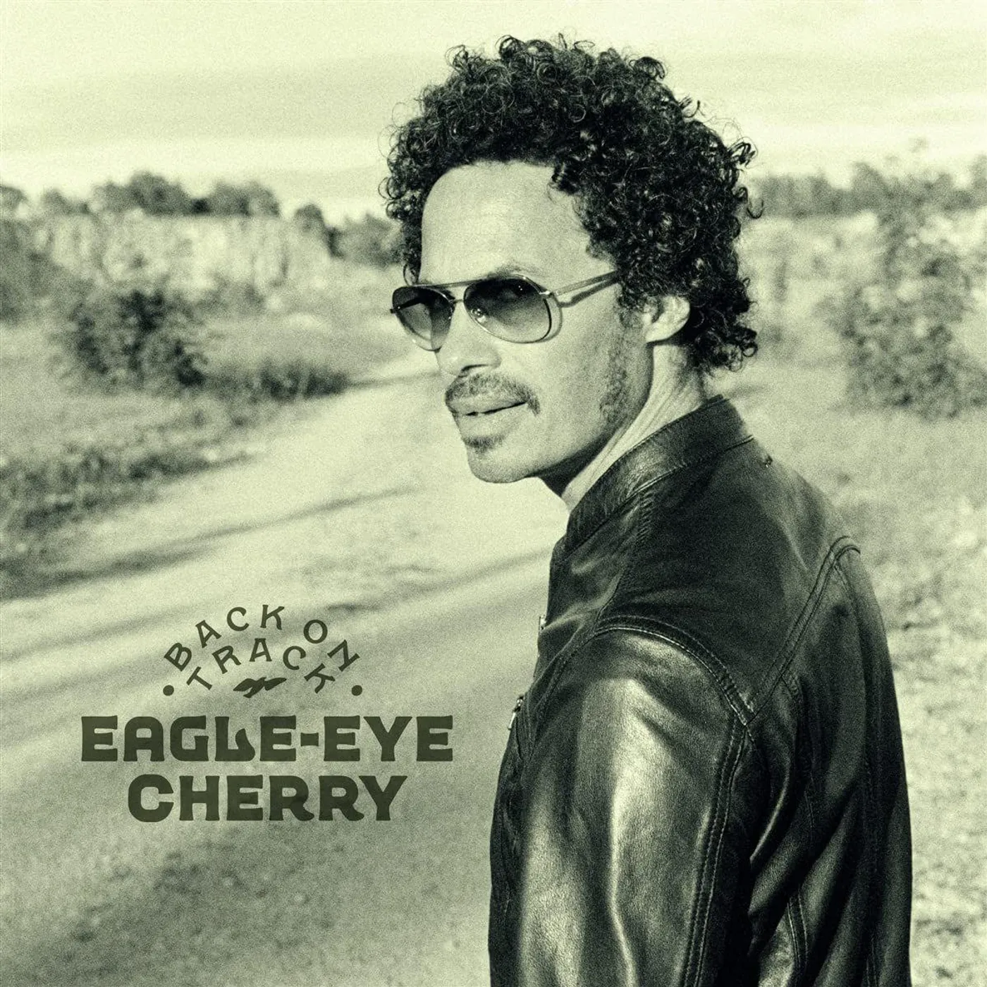 Eagle-Eye Cherry Back On Track Vinyl Record