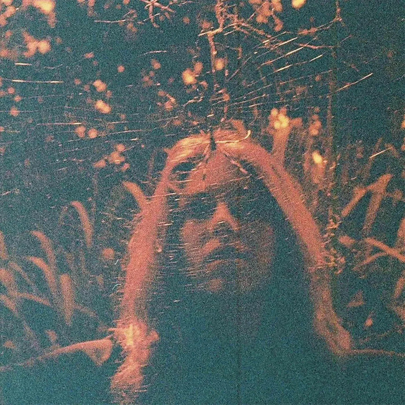 Turnover Peripheral Vision (Clear Orange) Vinyl Record