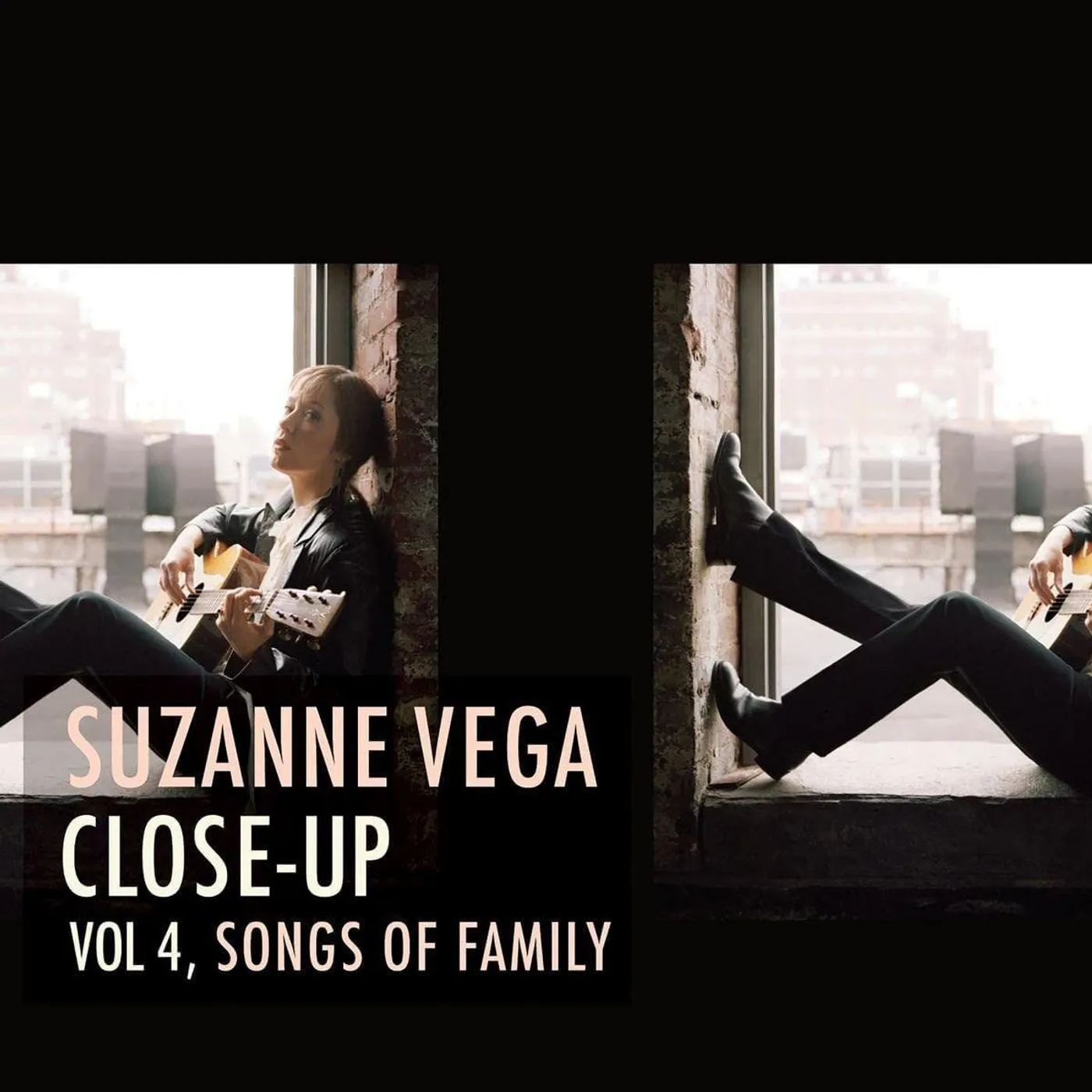 Suzanne Vega Close-Up Vol 4, Songs Of Family Vinyl Record