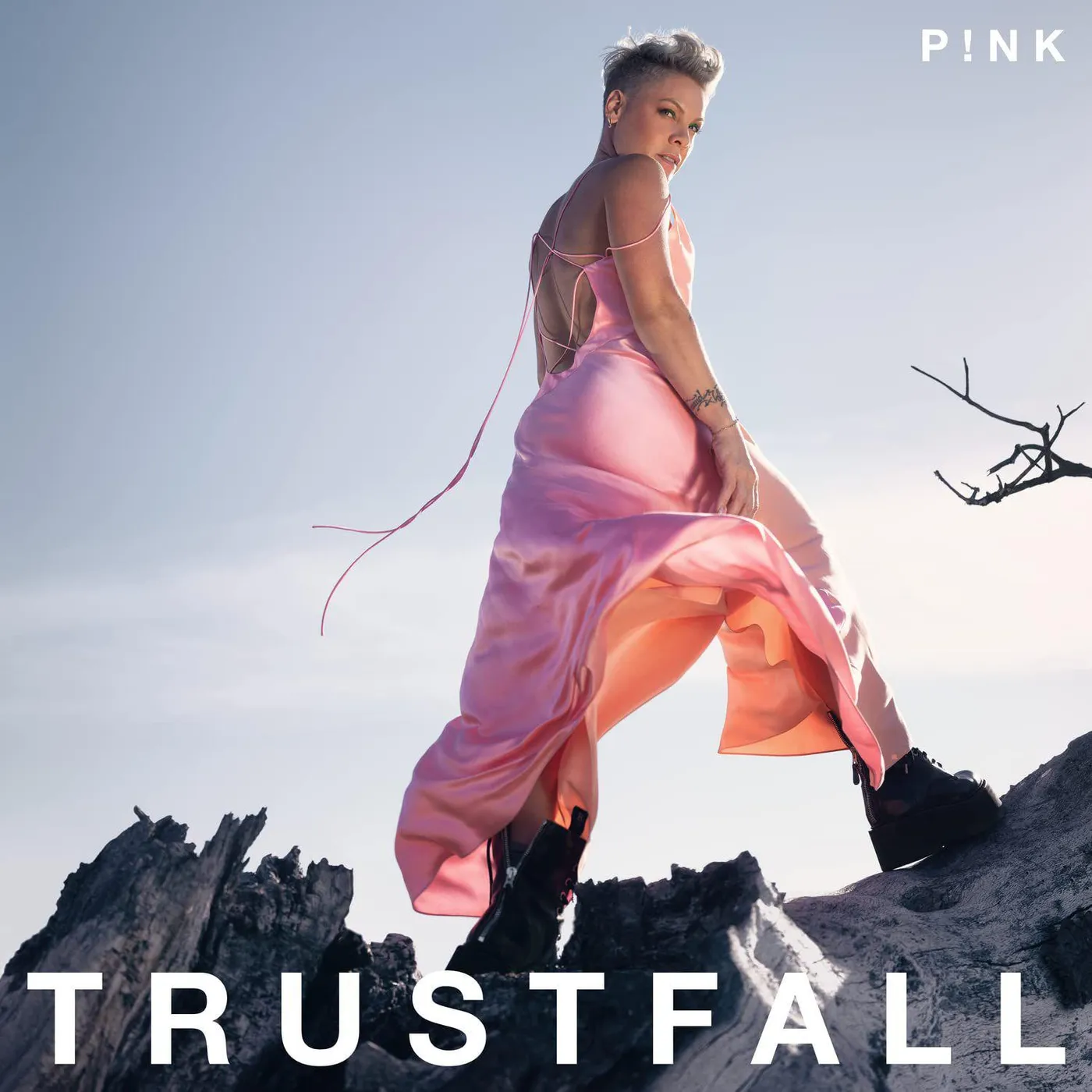 P!nk Trustfall Vinyl Record
