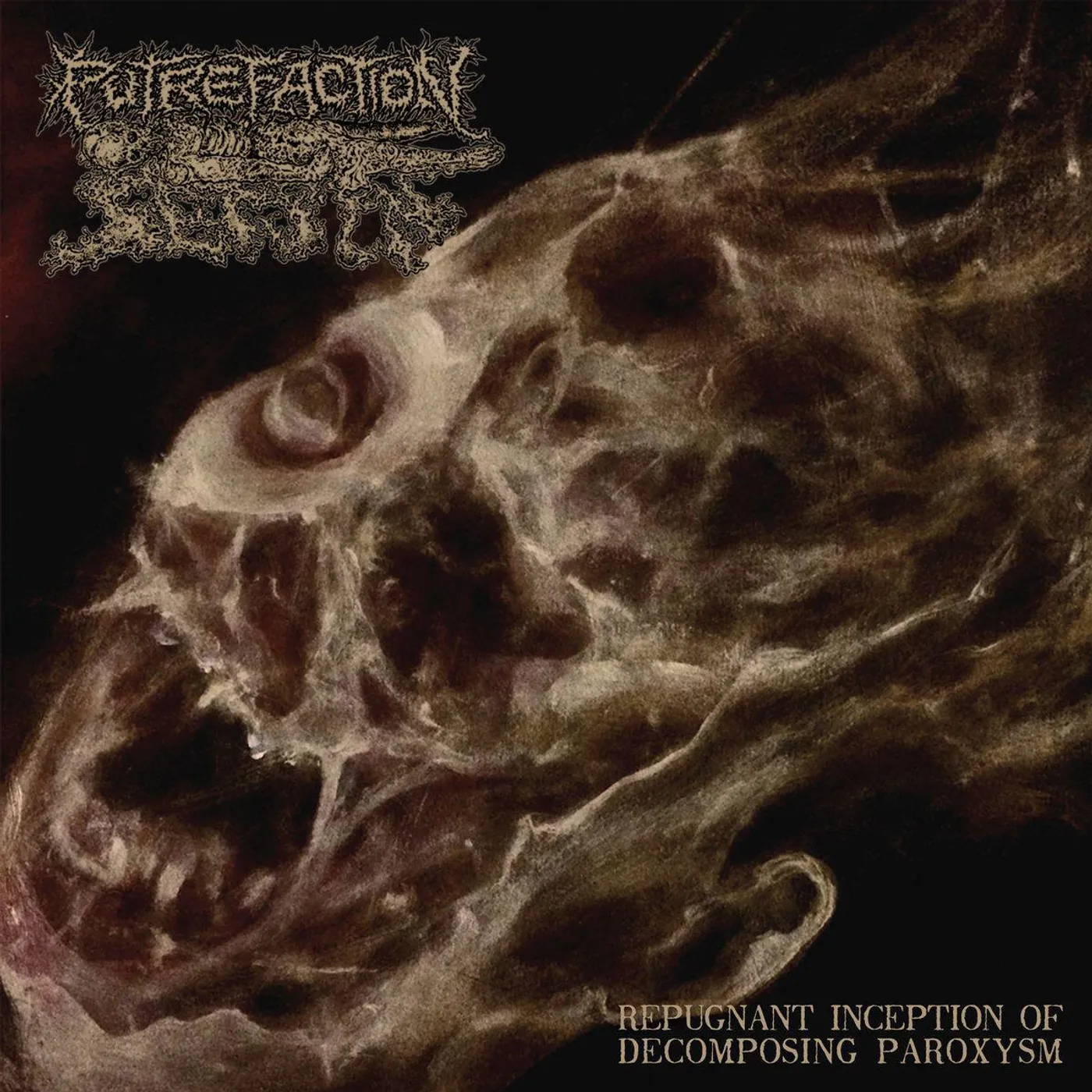 Putrefaction Sets In Repugnant Inception Of Decomposing Paroxysm vinyl record