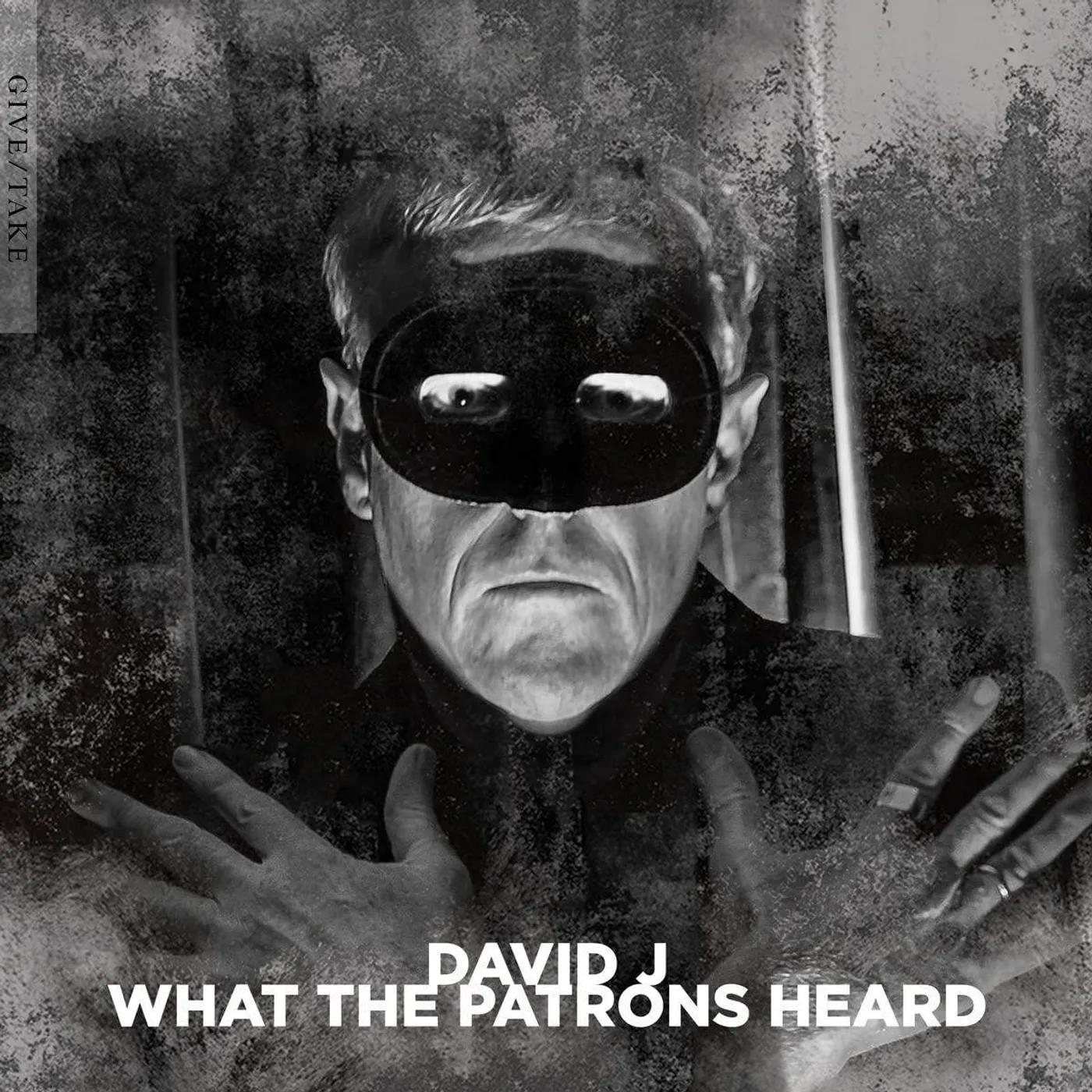 David J What The Patrons Heard Vinyl Record