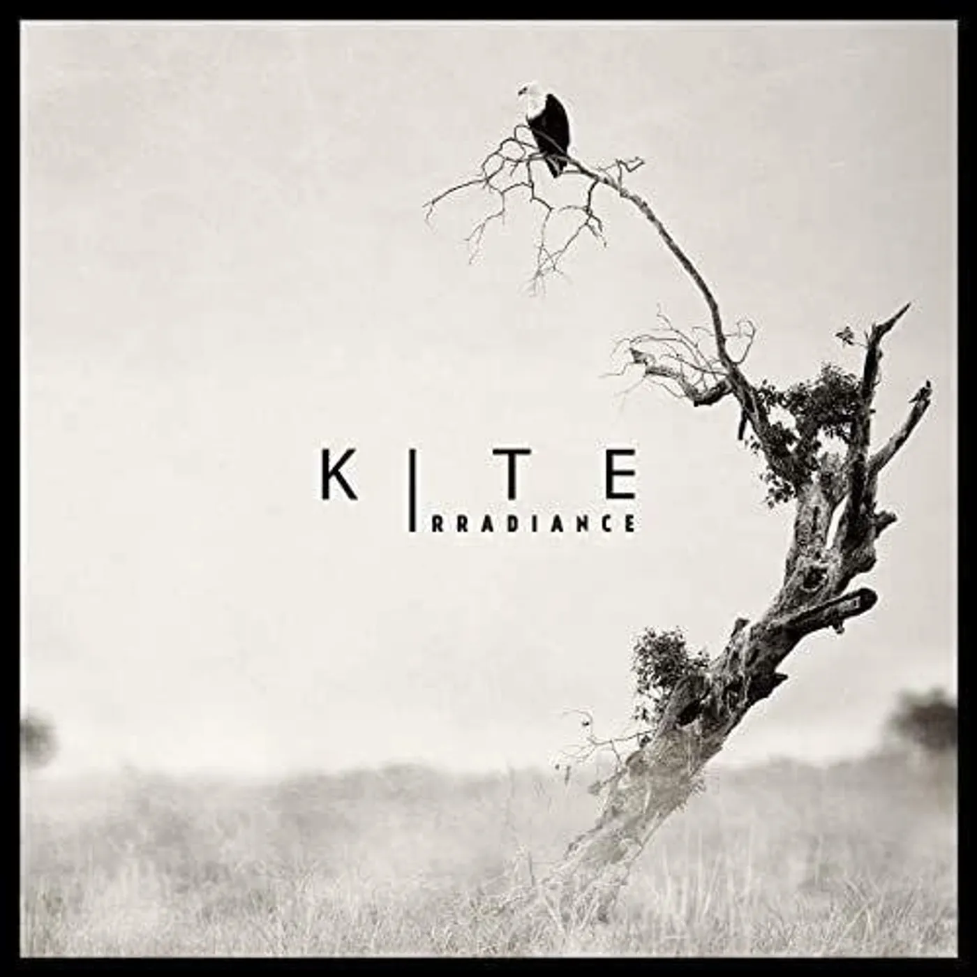 Kite Irradiance Vinyl Record