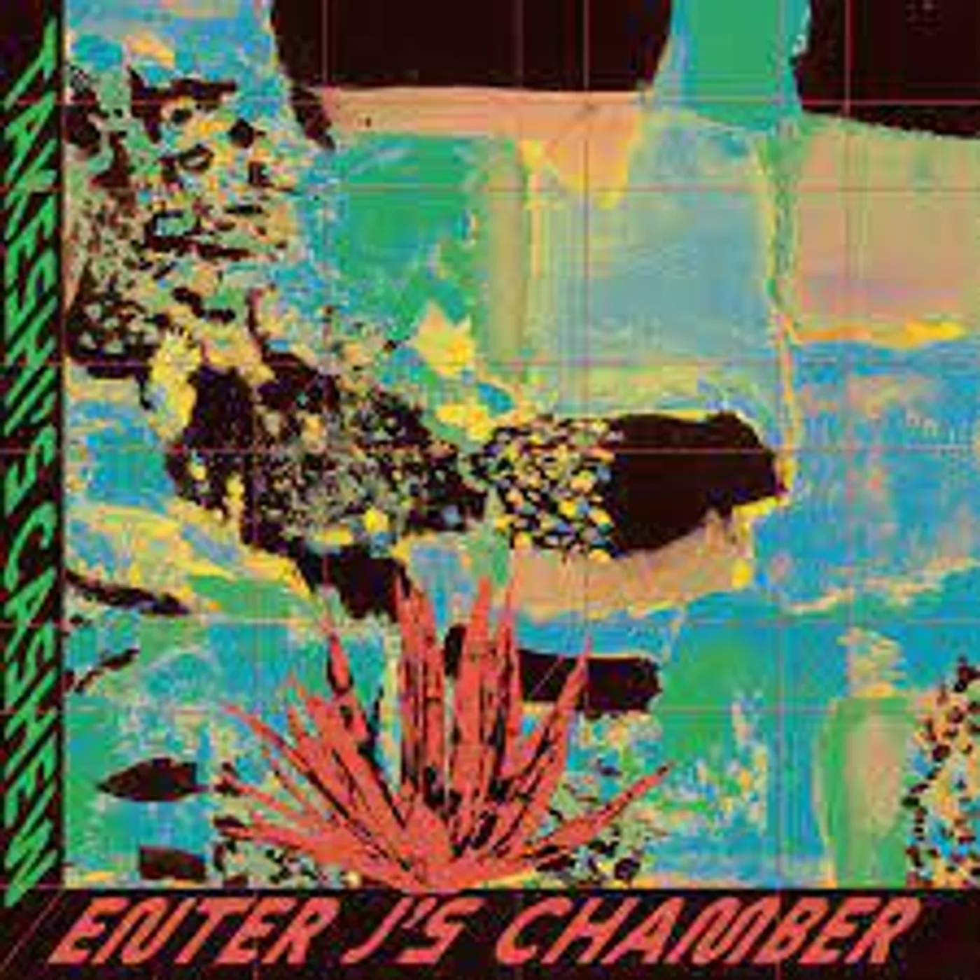 Takeshi's Cashew Enter J's Chamber Vinyl Record