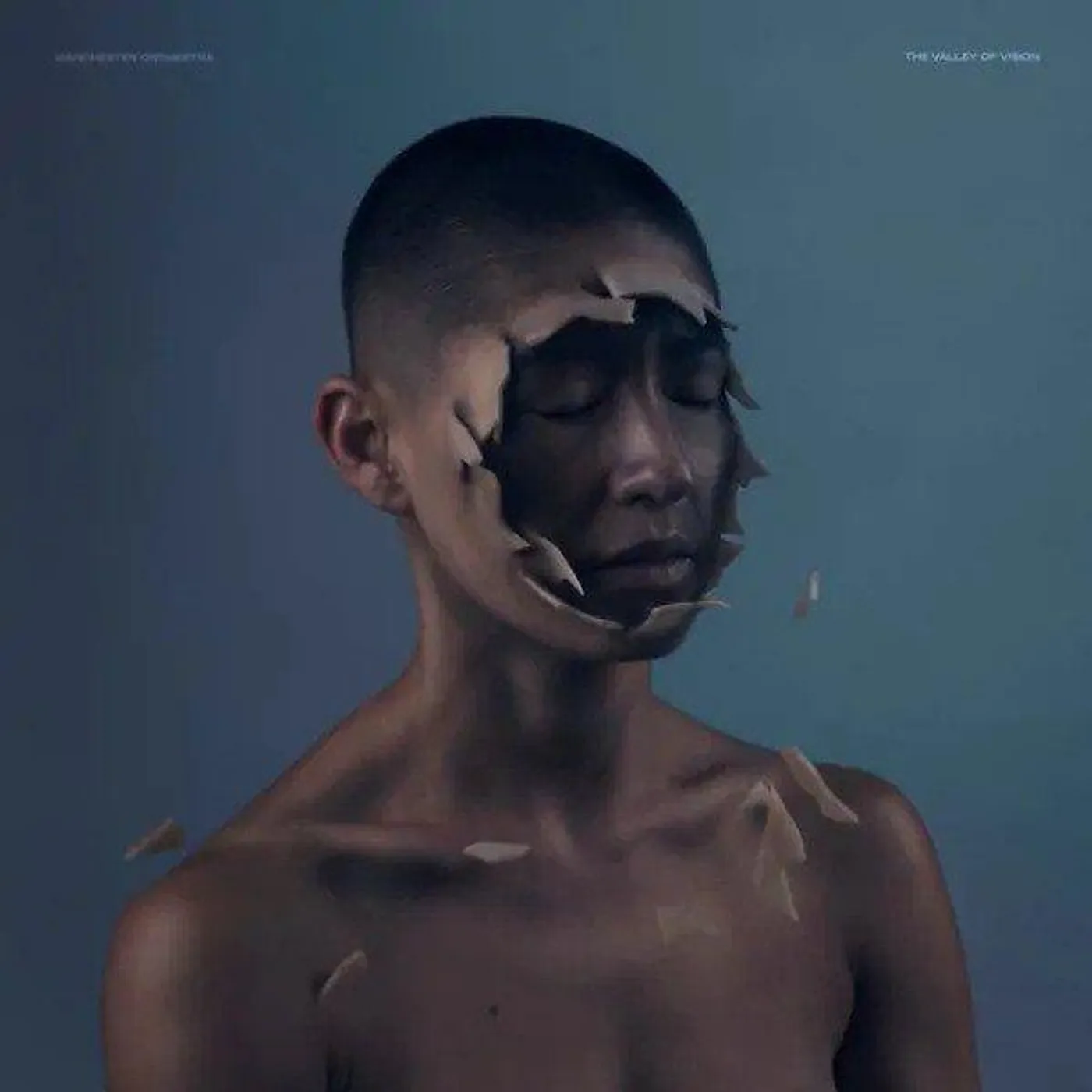 Manchester Orchestra Valley Of Vision (Clear) Vinyl Record