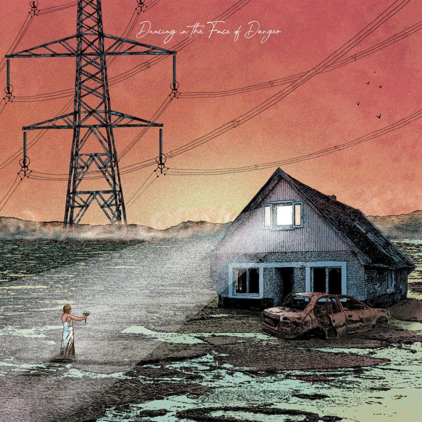 Exploring Birdsong DANCING IN THE FACE OF DANGER Vinyl Record